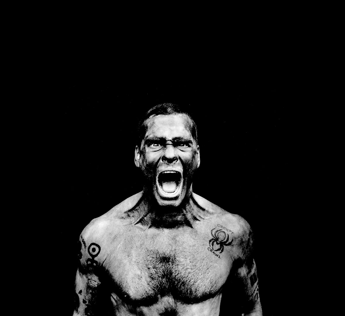 Henry Rollins Wallpapers