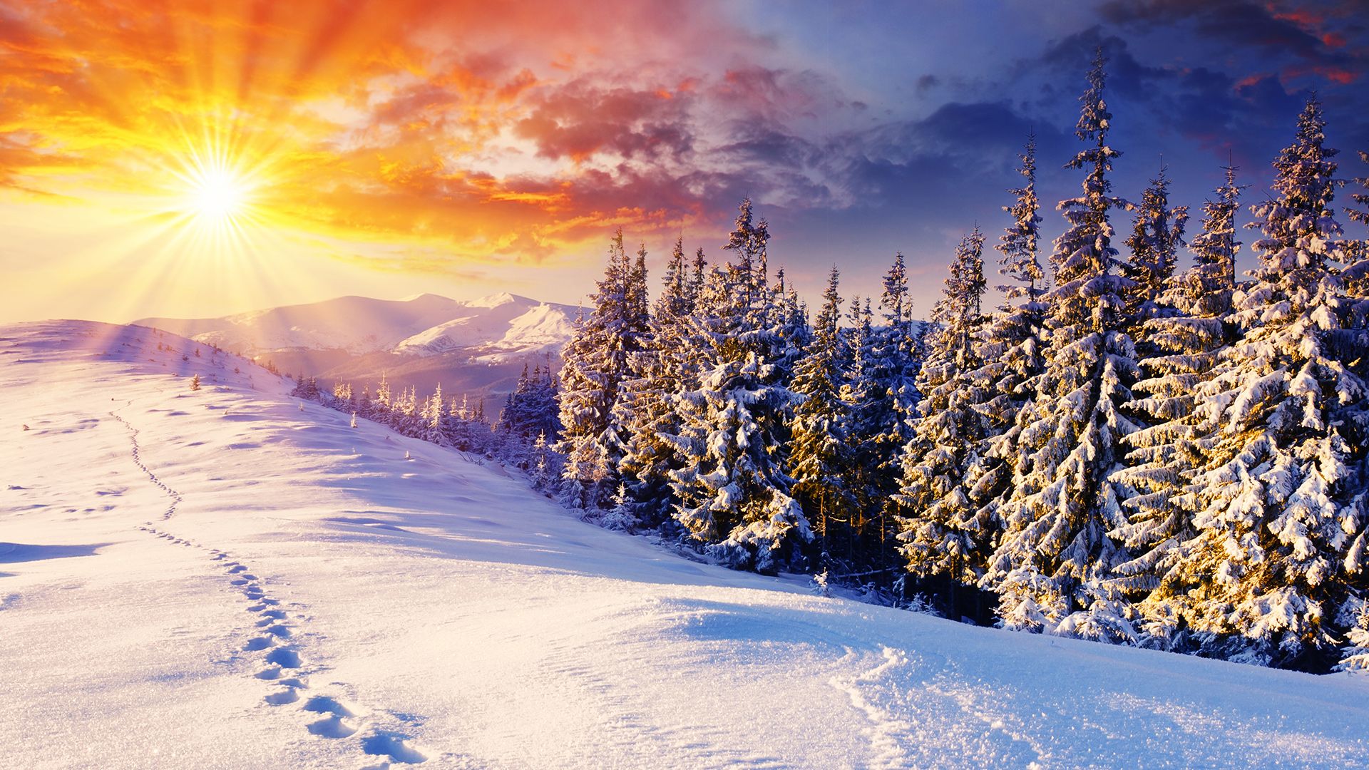 Wintersun Wallpapers