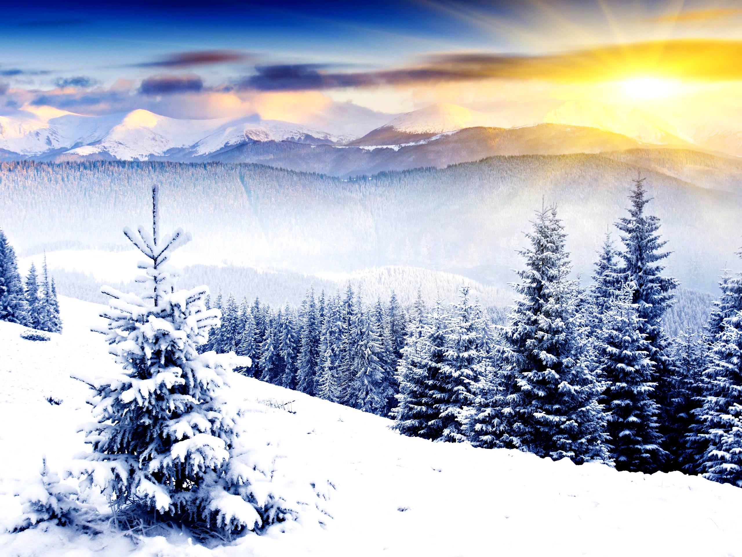 Wintersun Wallpapers