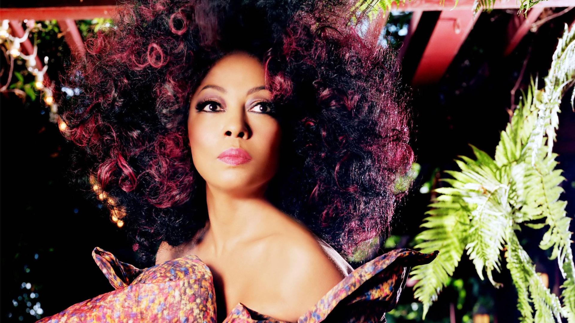 Diana Ross Wallpapers