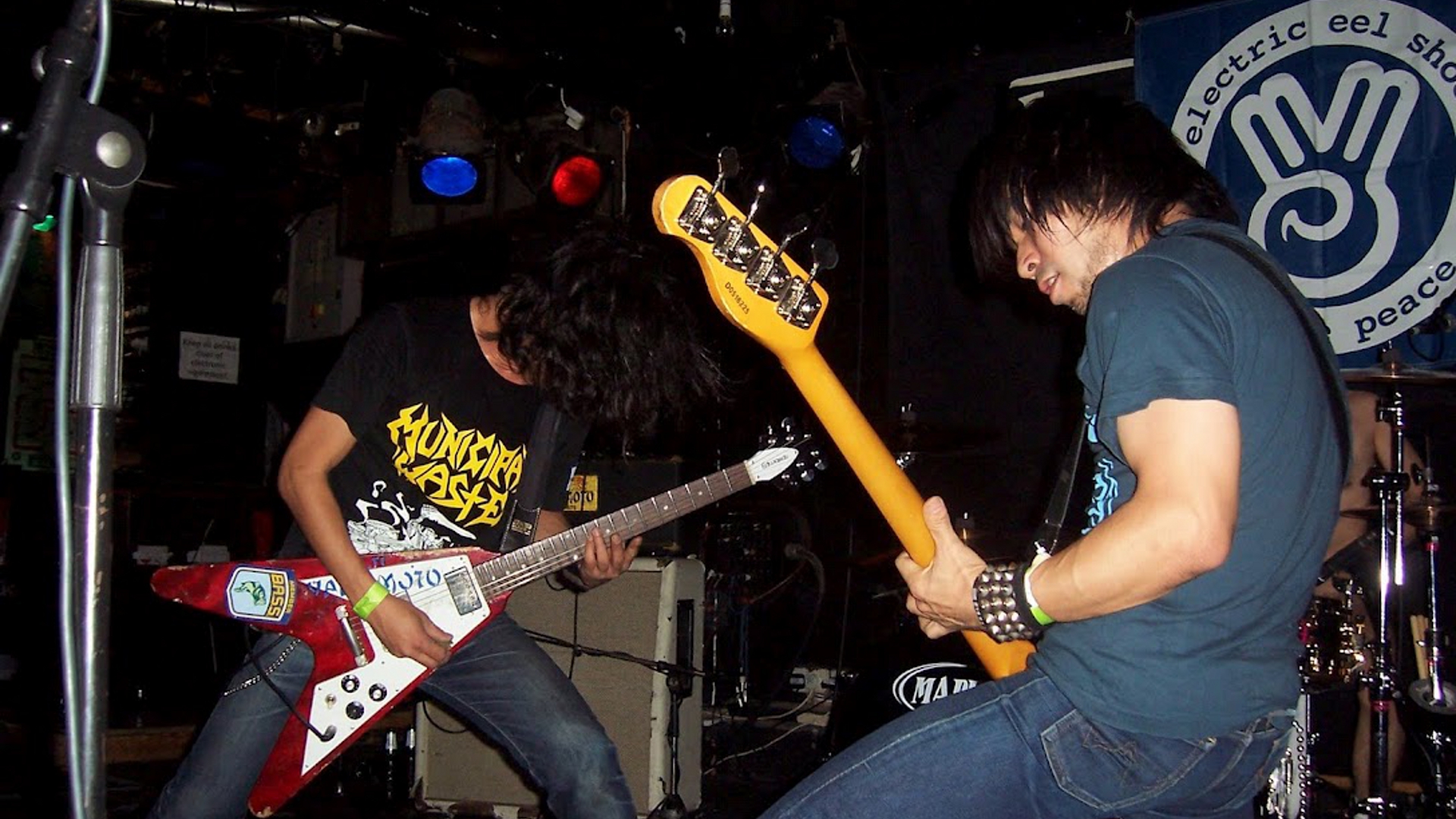 Electric Eel Shock Wallpapers