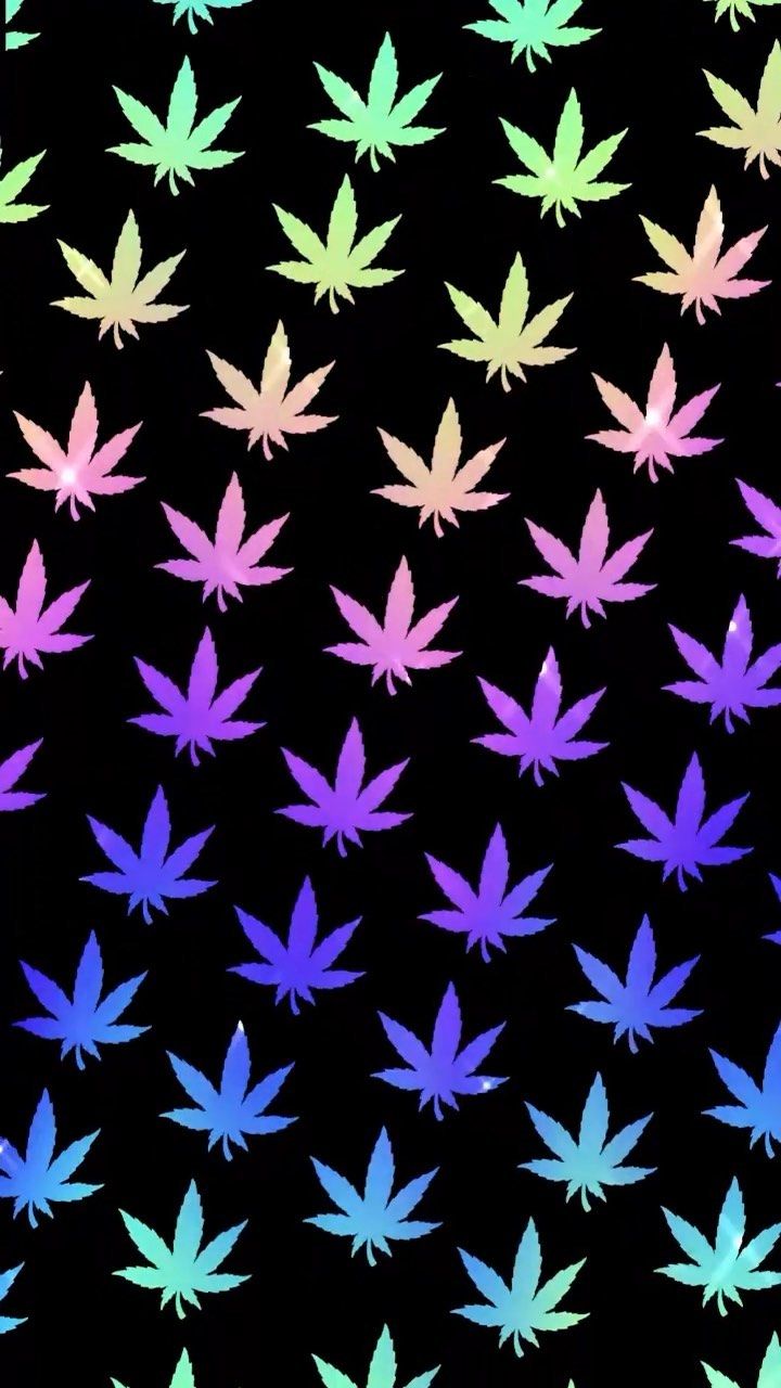 Indica Wallpapers