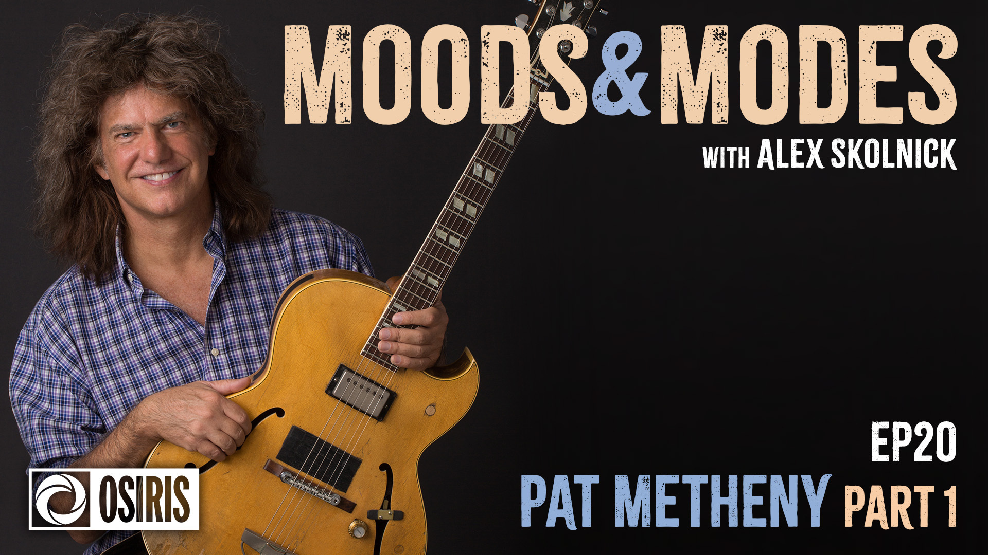 Pat Metheny Wallpapers