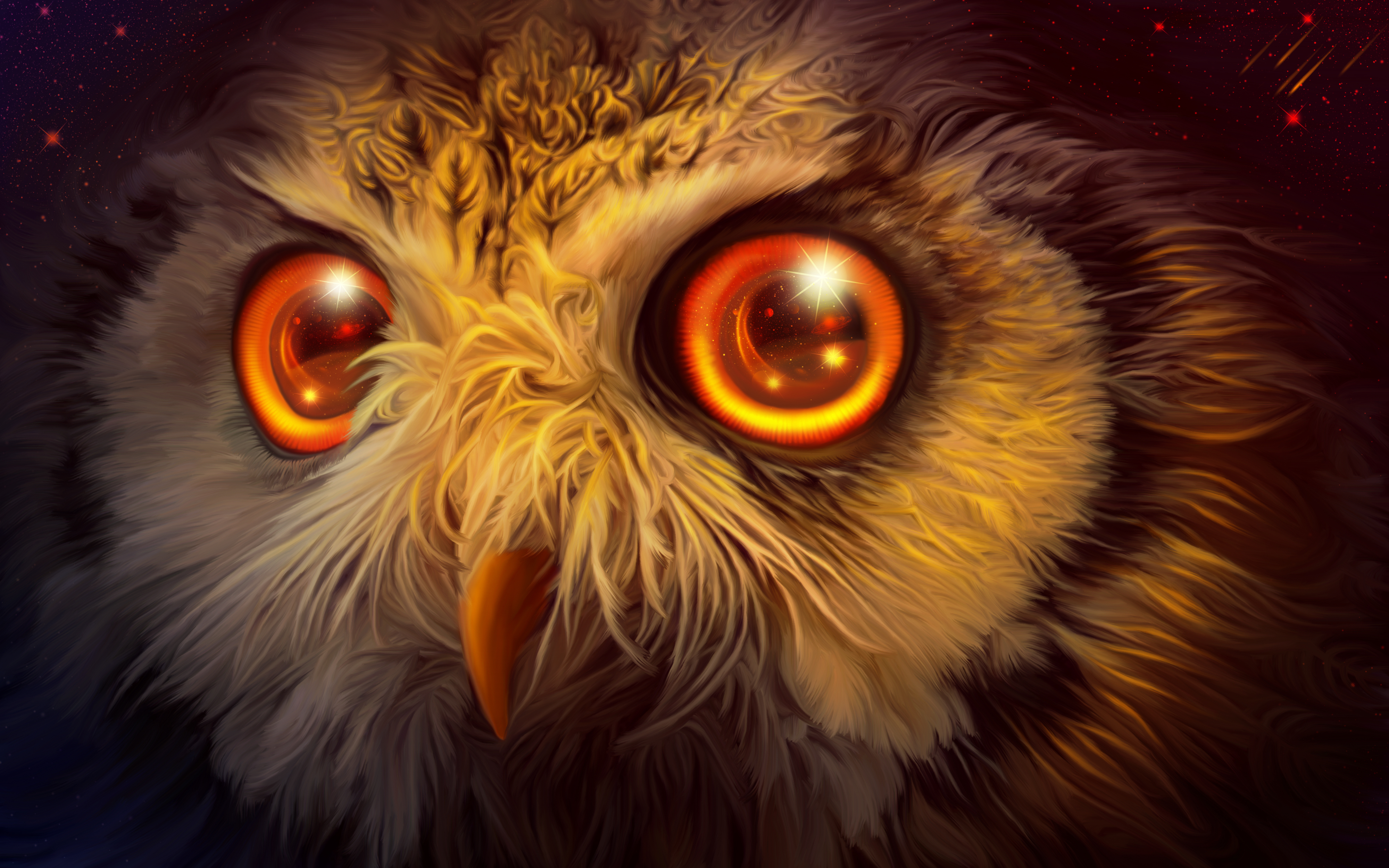 Owl Eyes Wallpapers