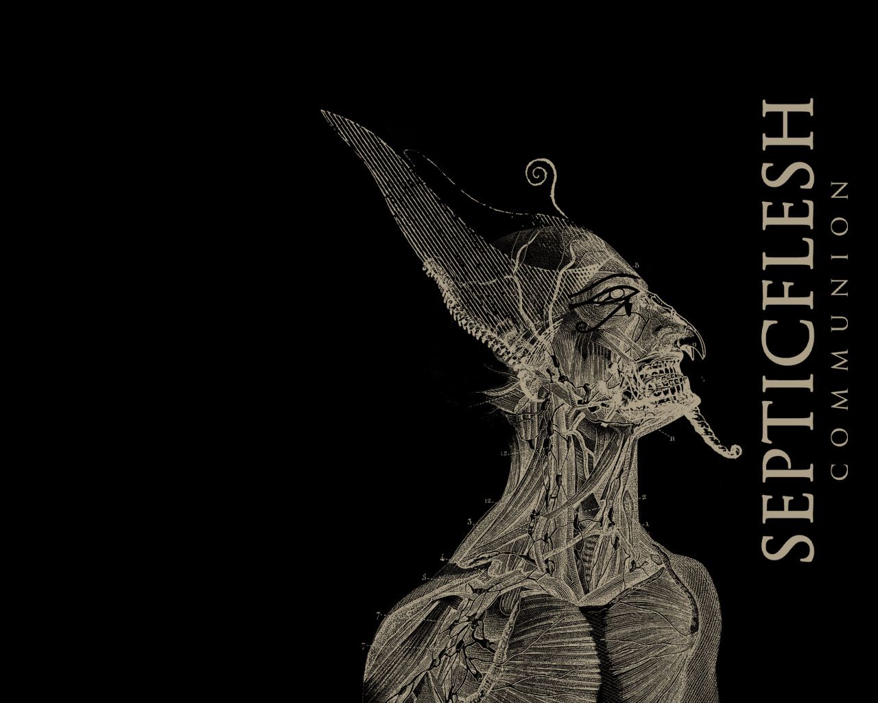 Septicflesh Wallpapers