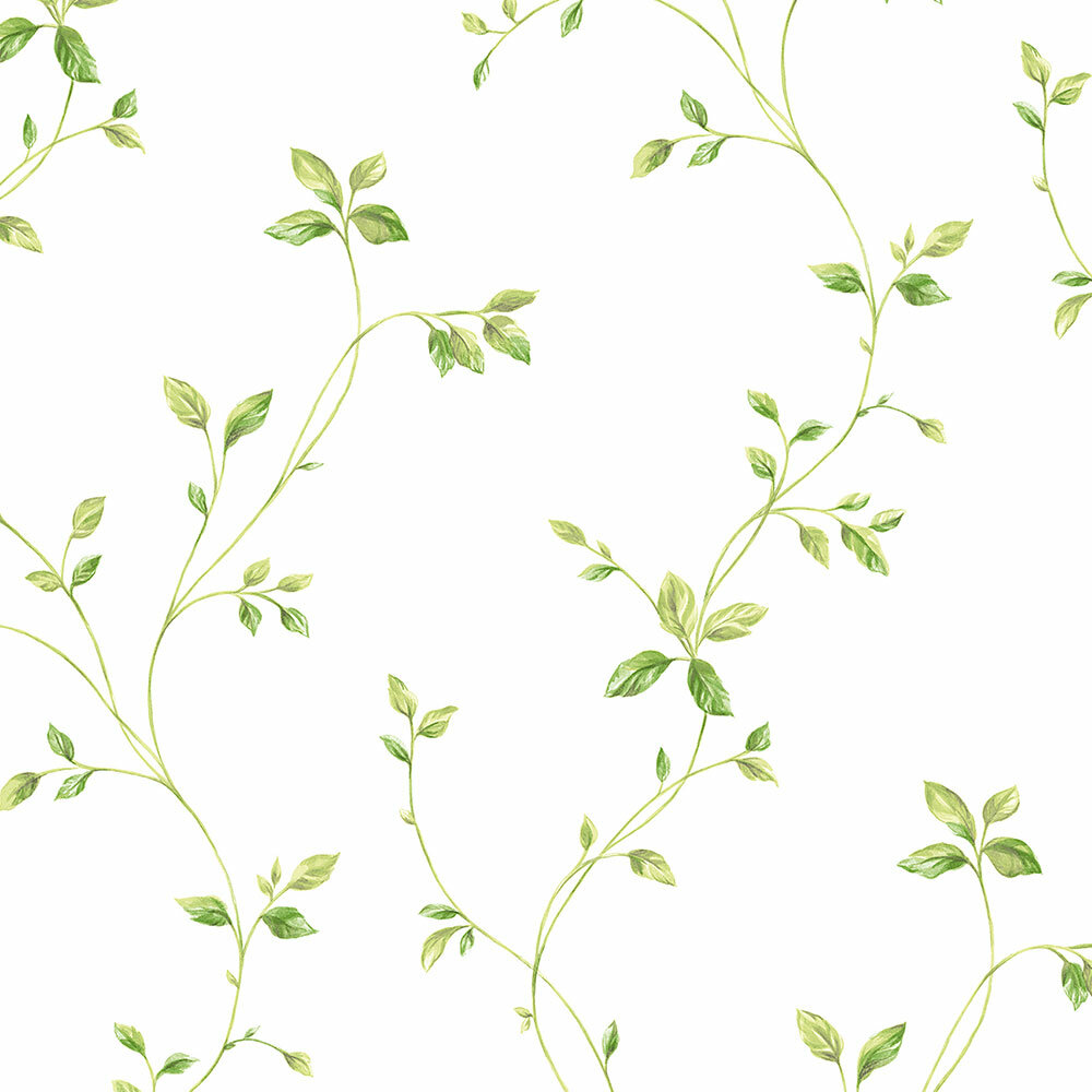 The Vines Wallpapers