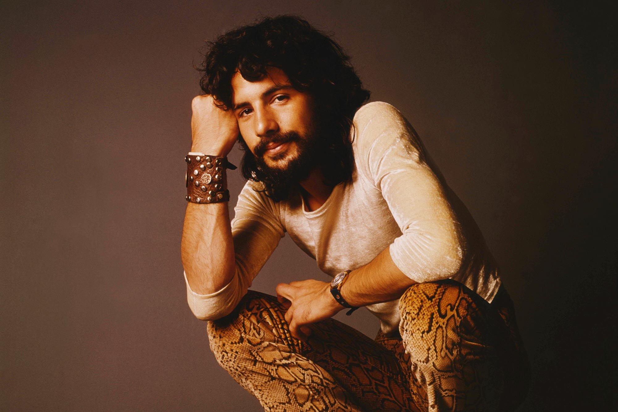 Cat Stevens Wallpapers