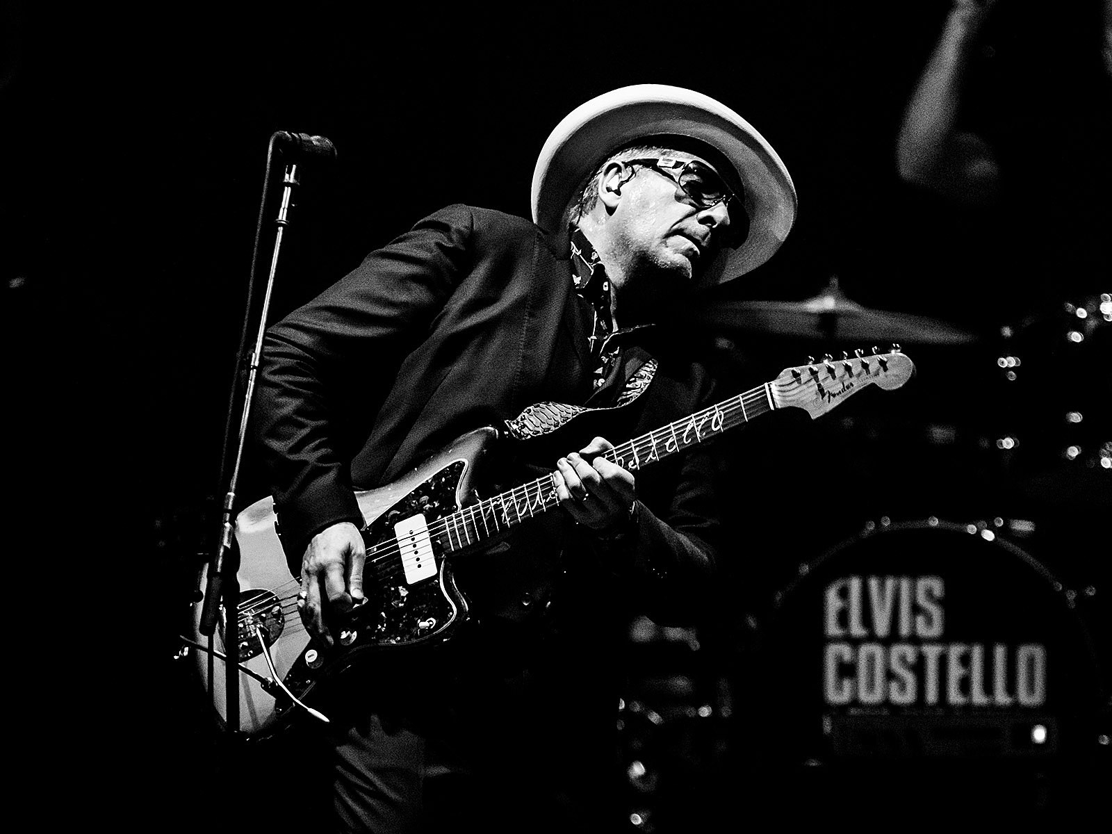 Elvis Costello Wallpapers