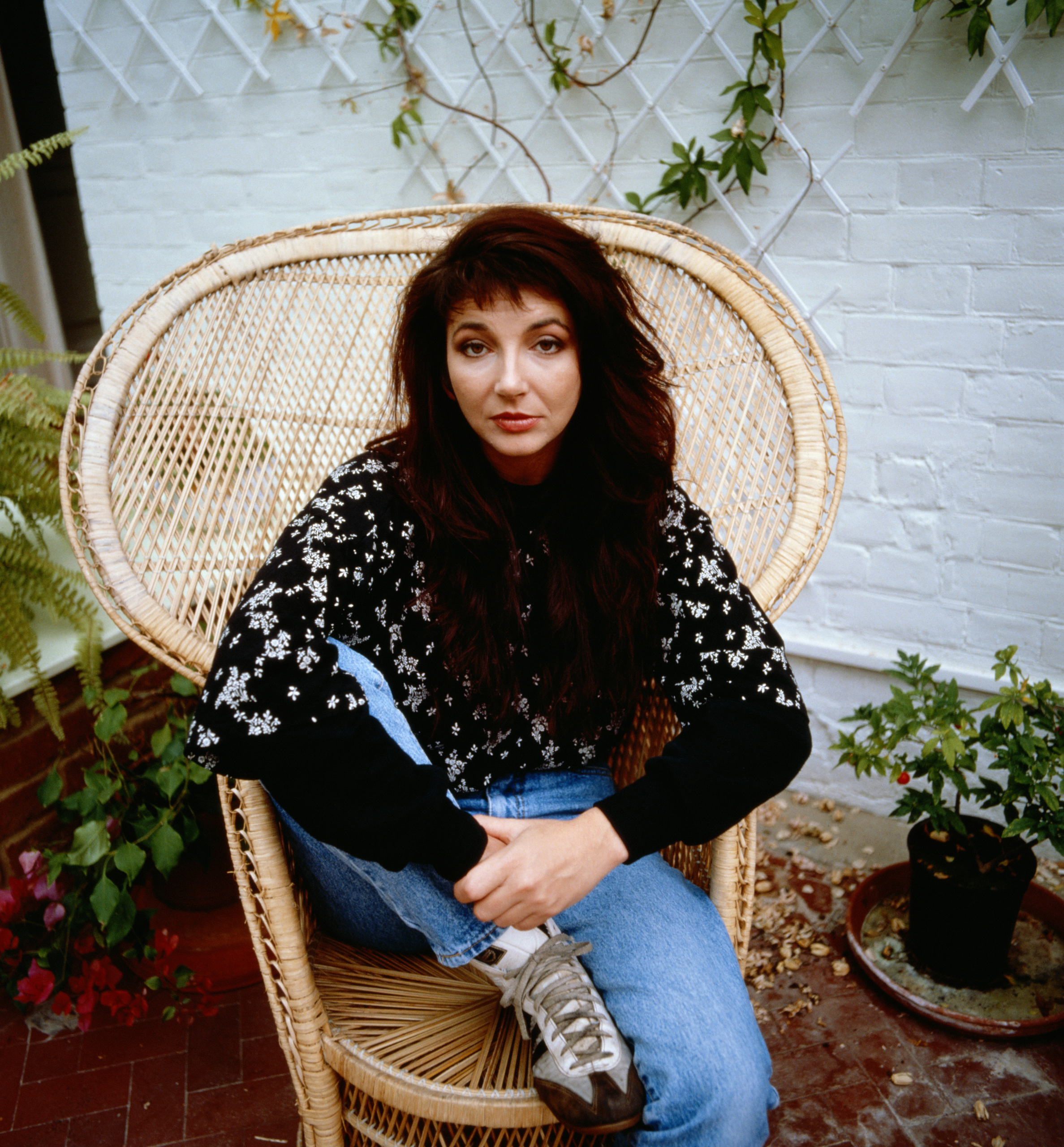 Kate Bush Wallpapers