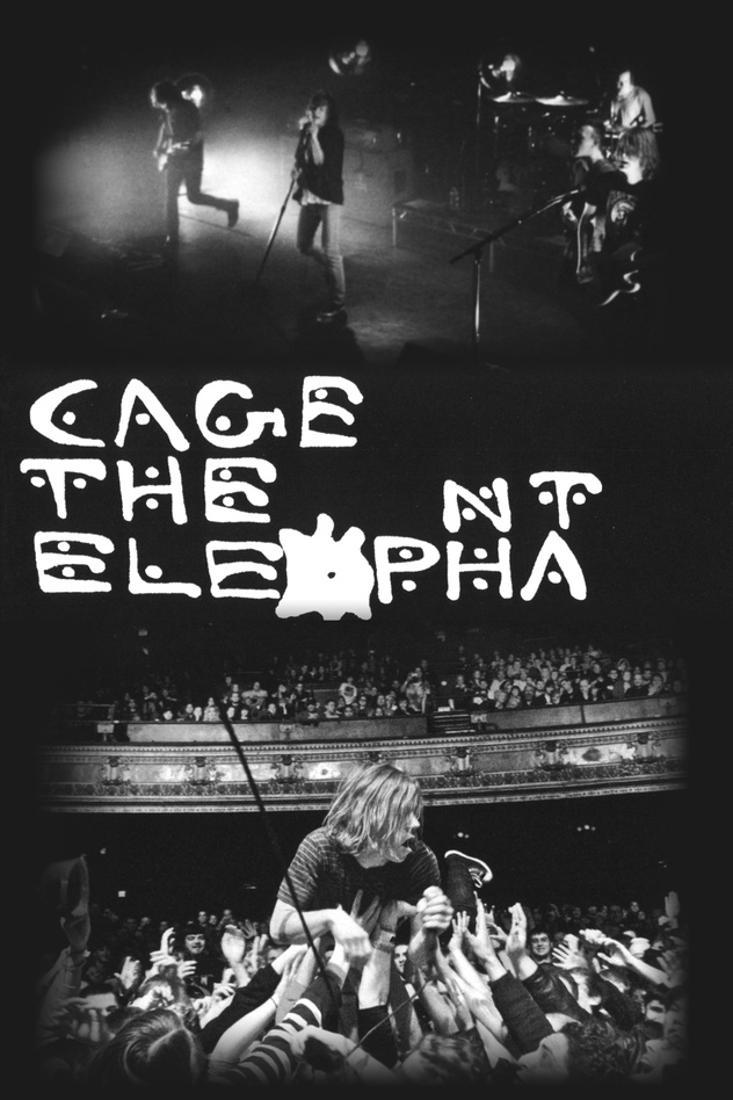 Cage The Elephant Wallpapers