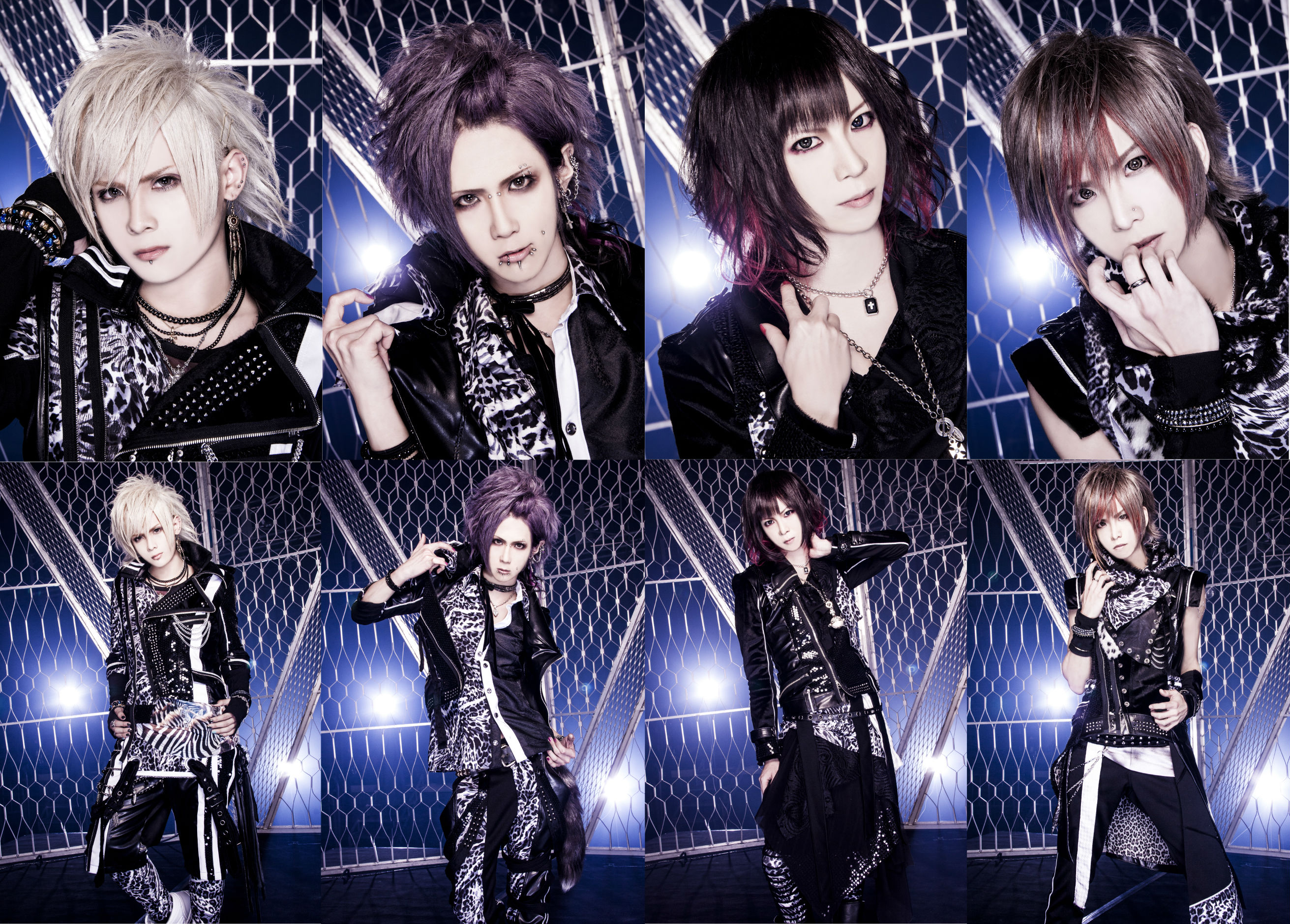 Royz Wallpapers