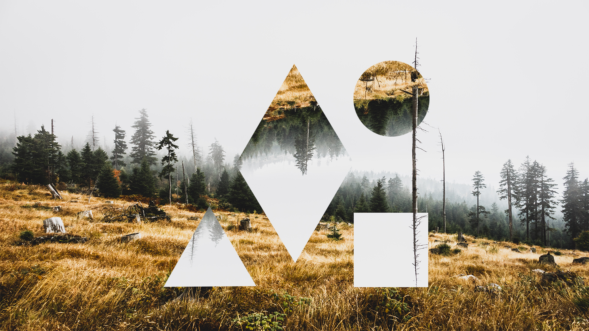 Clean Bandit Wallpapers