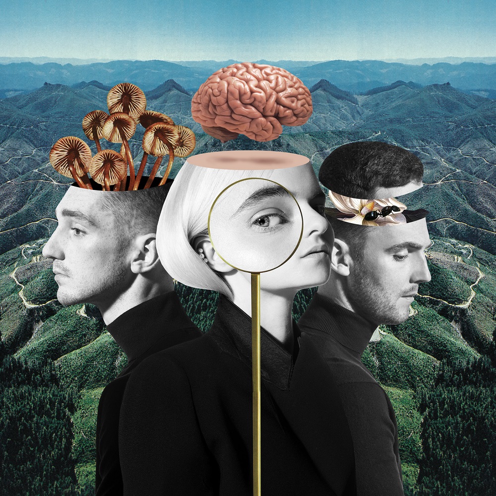 Clean Bandit Wallpapers