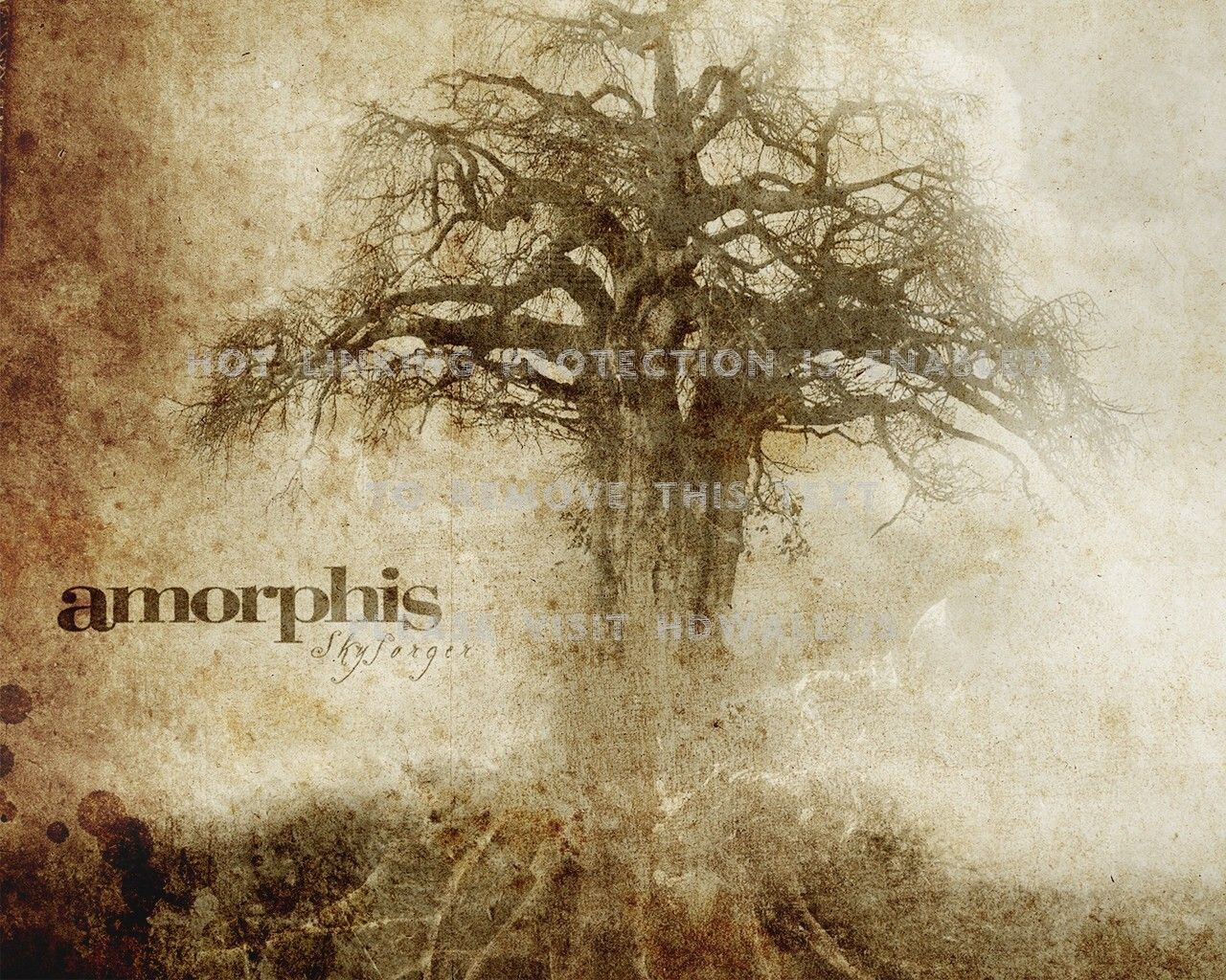 Amorphis Wallpapers