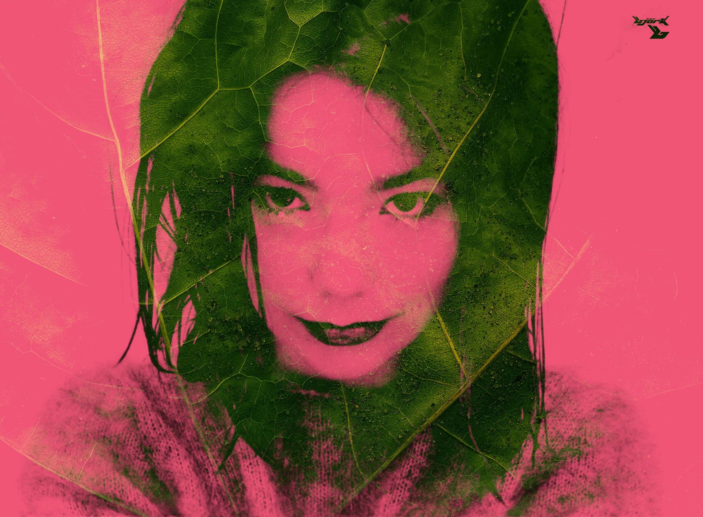 BjoRk Wallpapers