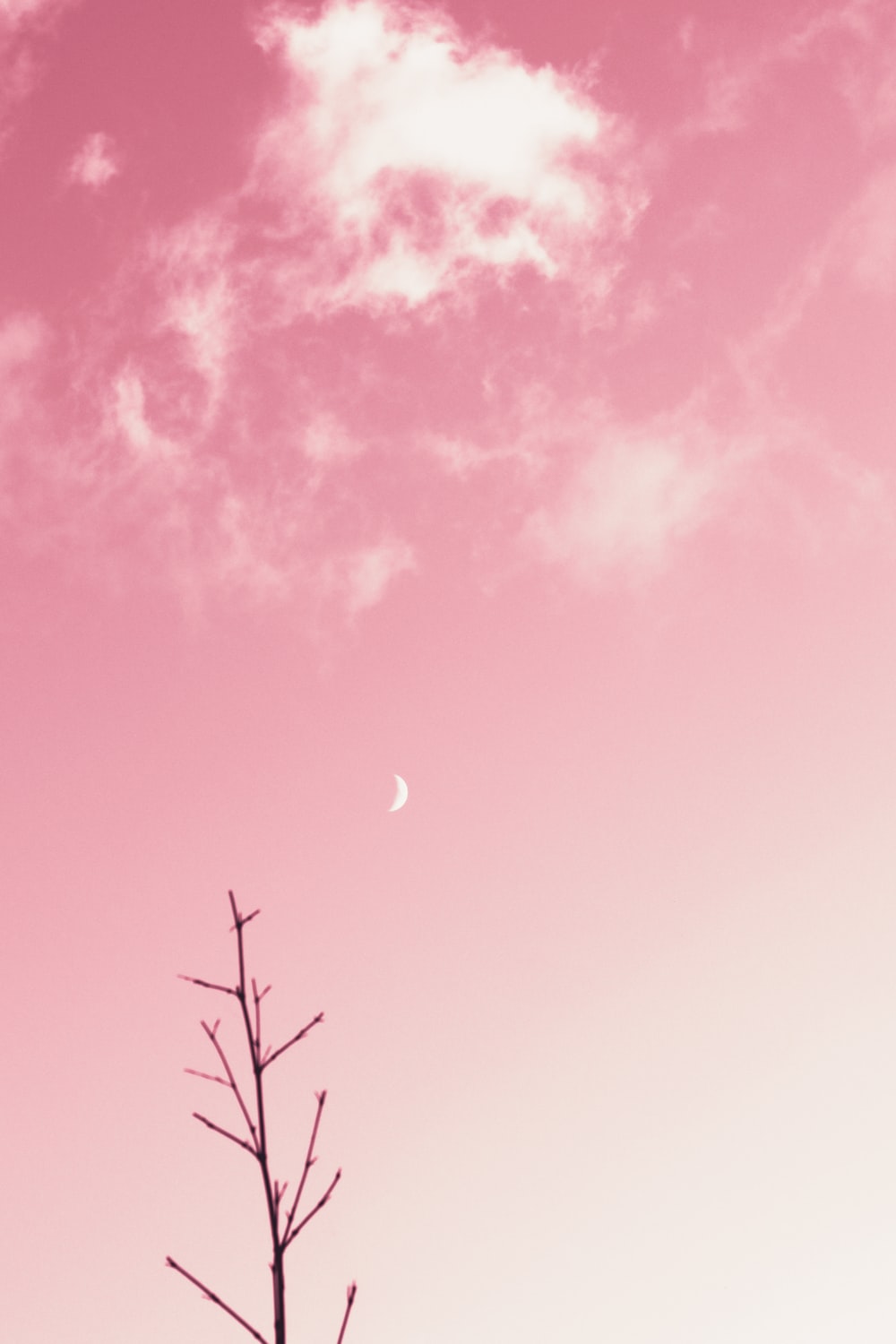 A Pink Wallpapers