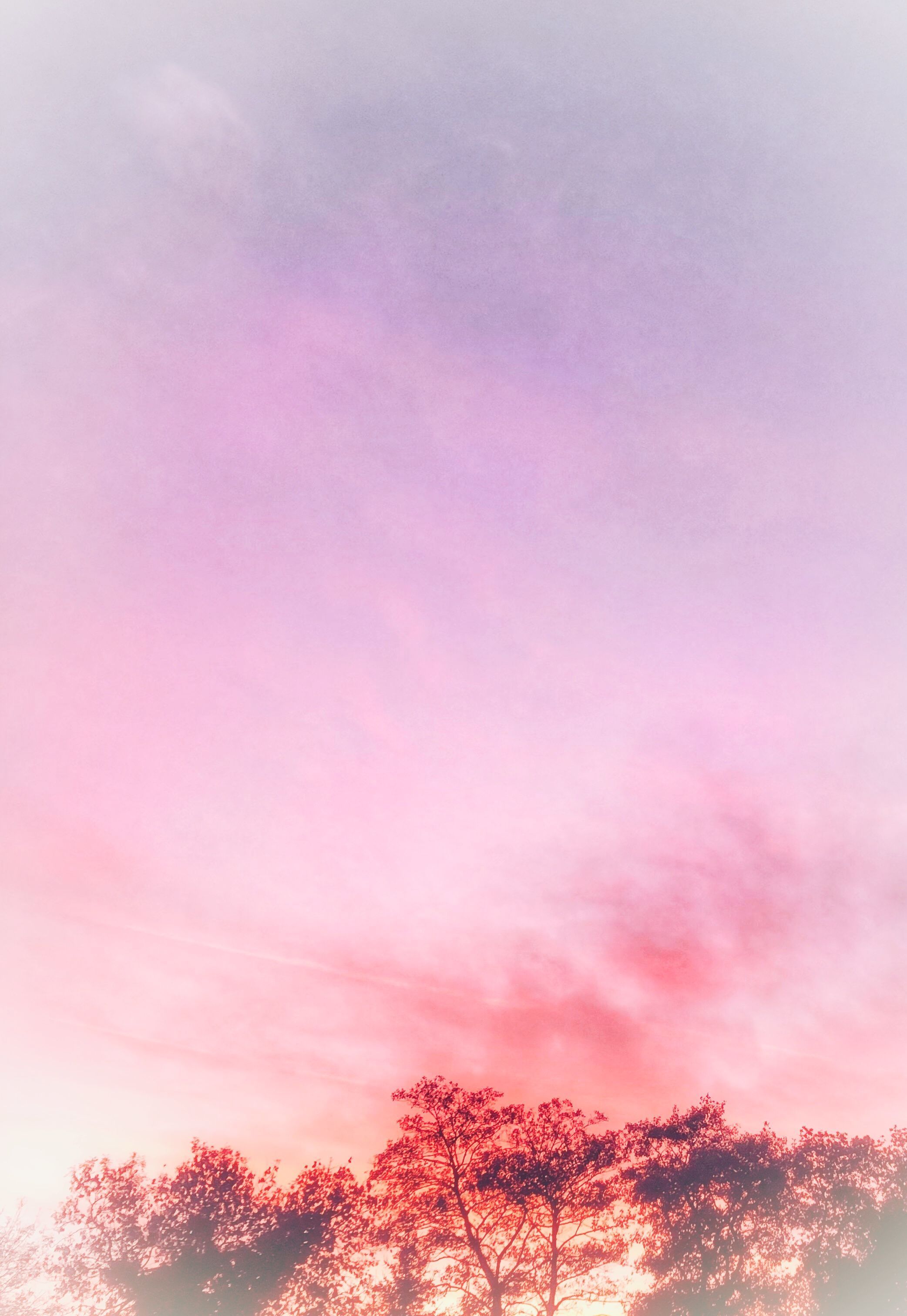 Anime Aesthetic Color Pink Wallpapers