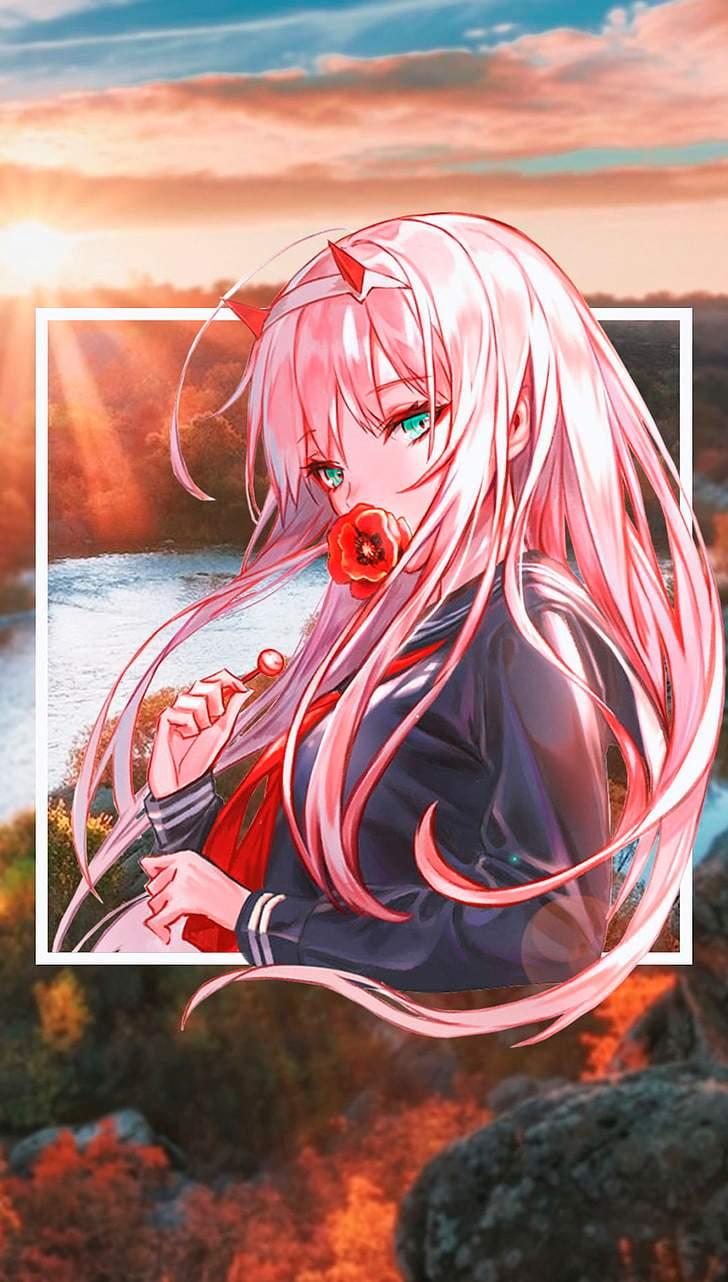 Anime Aesthetics Zero Two Wallpapers