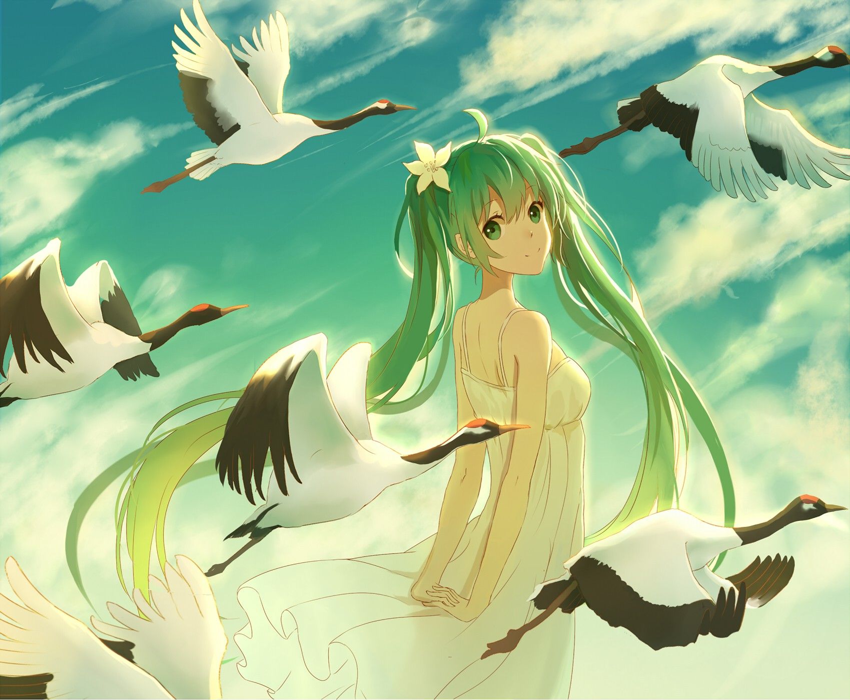 Anime Birds Wallpapers