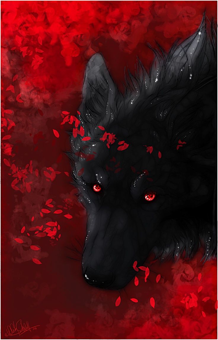 Anime Black And Red Wolf Wallpapers