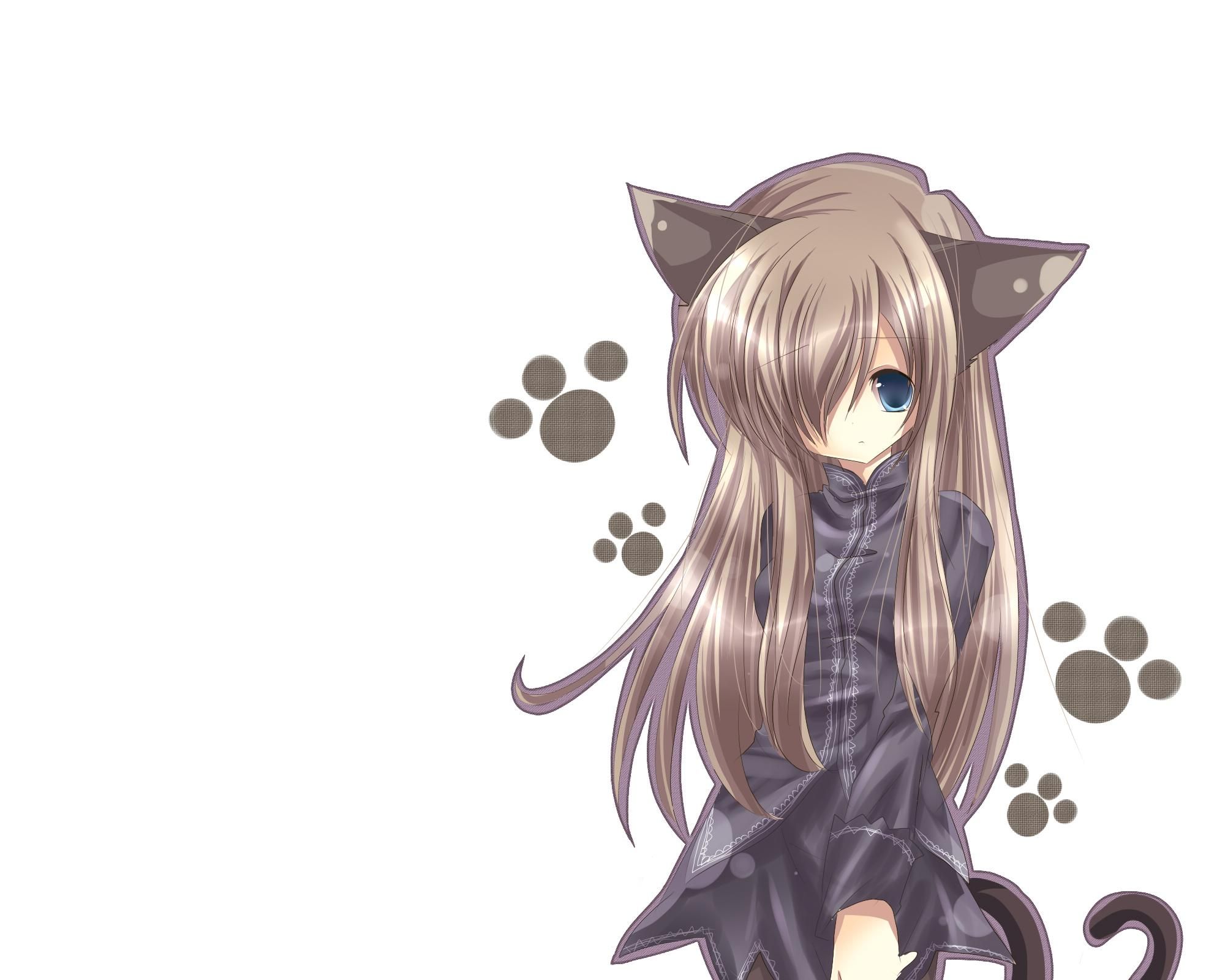 Anime Cat Girl Hd Wallpapers