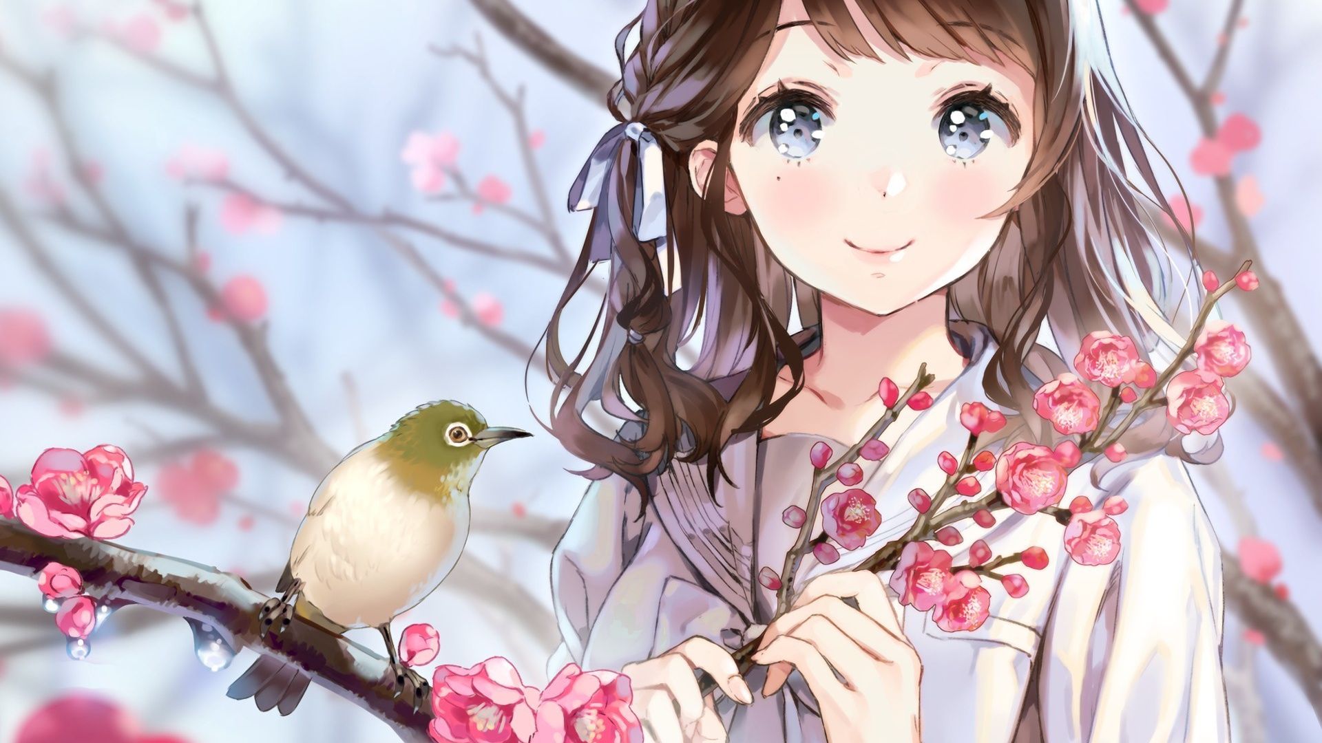 Anime Cherry Blossom Girl Wallpapers