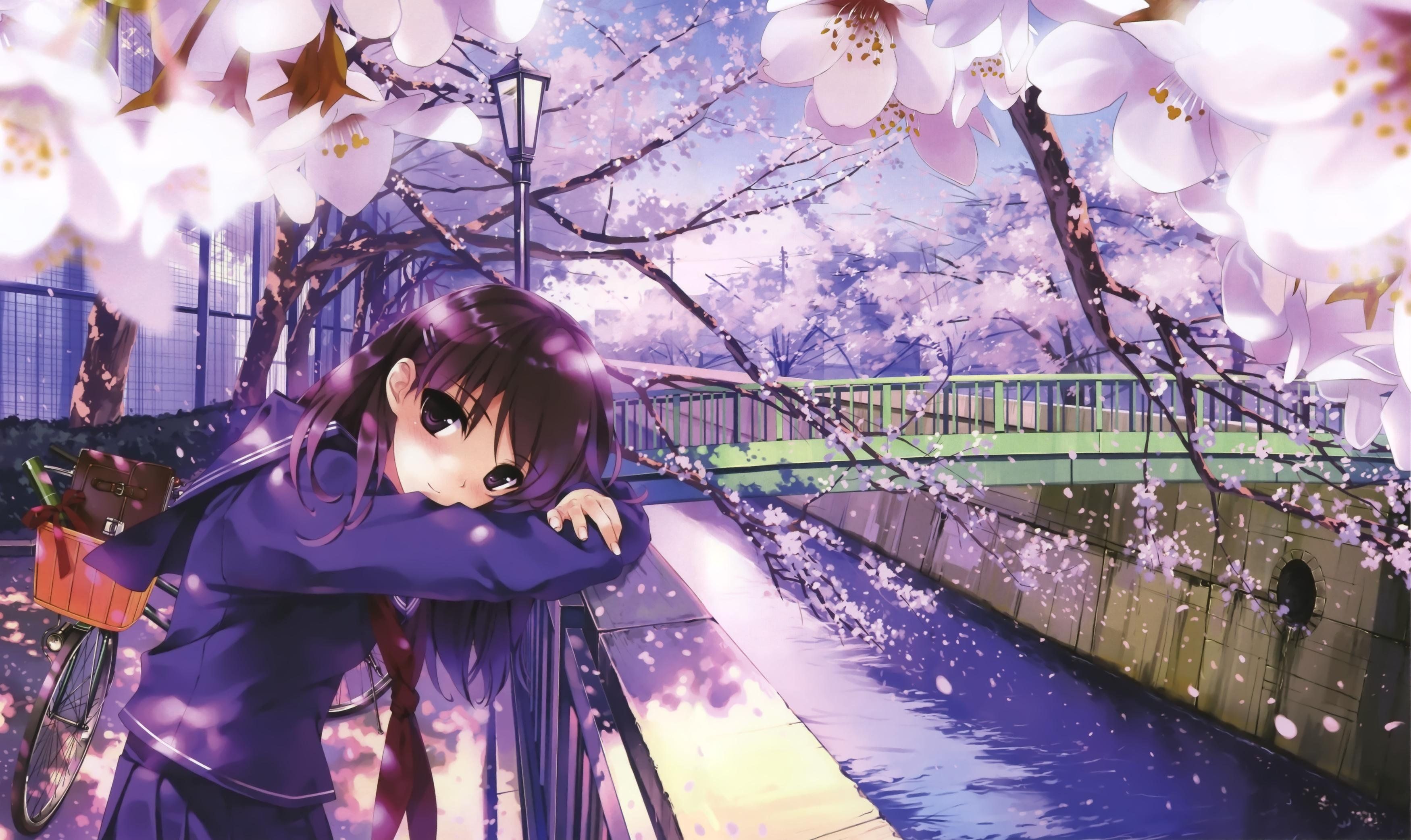 Anime Cherry Blossom Girl Wallpapers