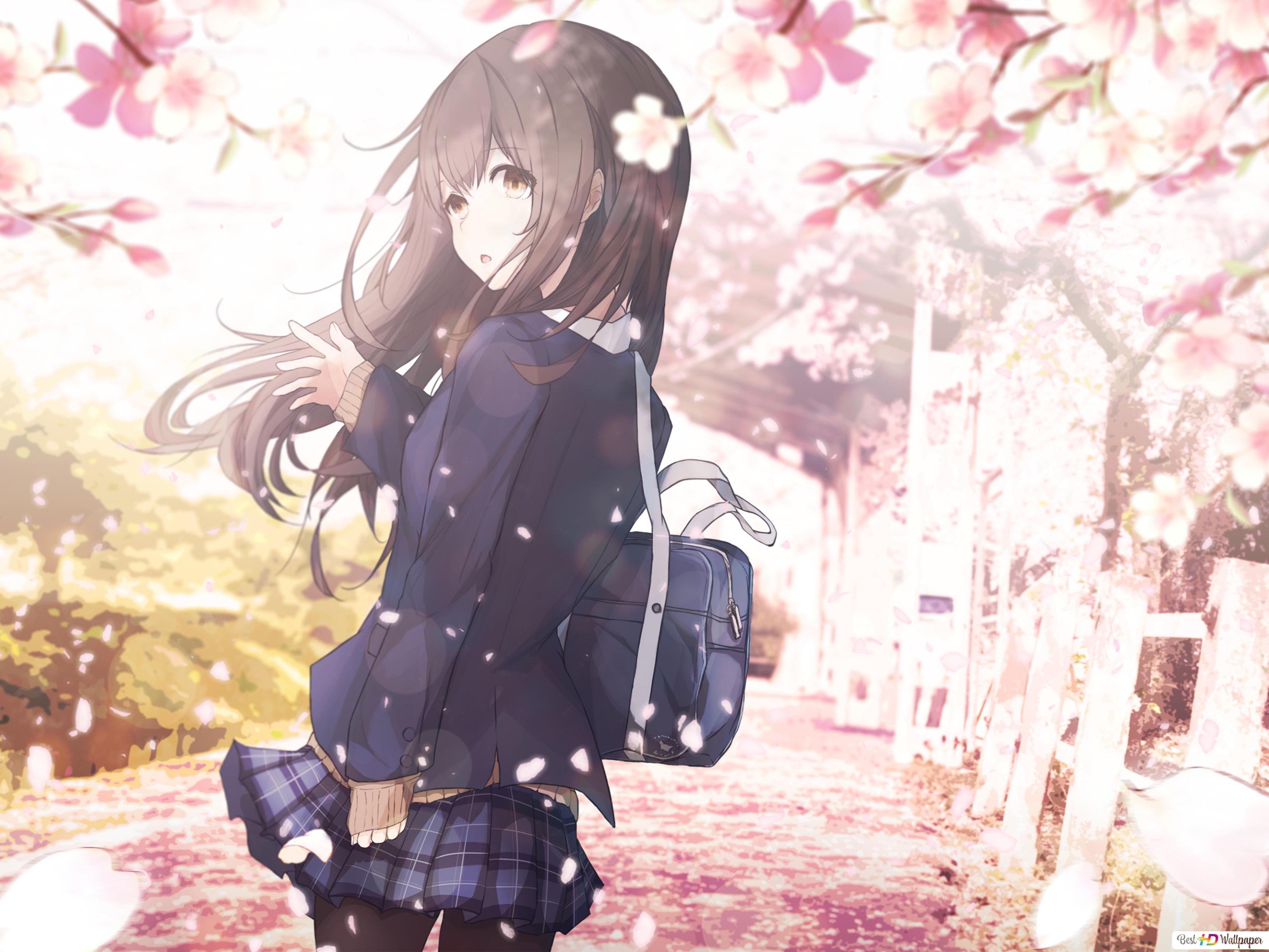 Anime Cherry Blossom Girl Wallpapers