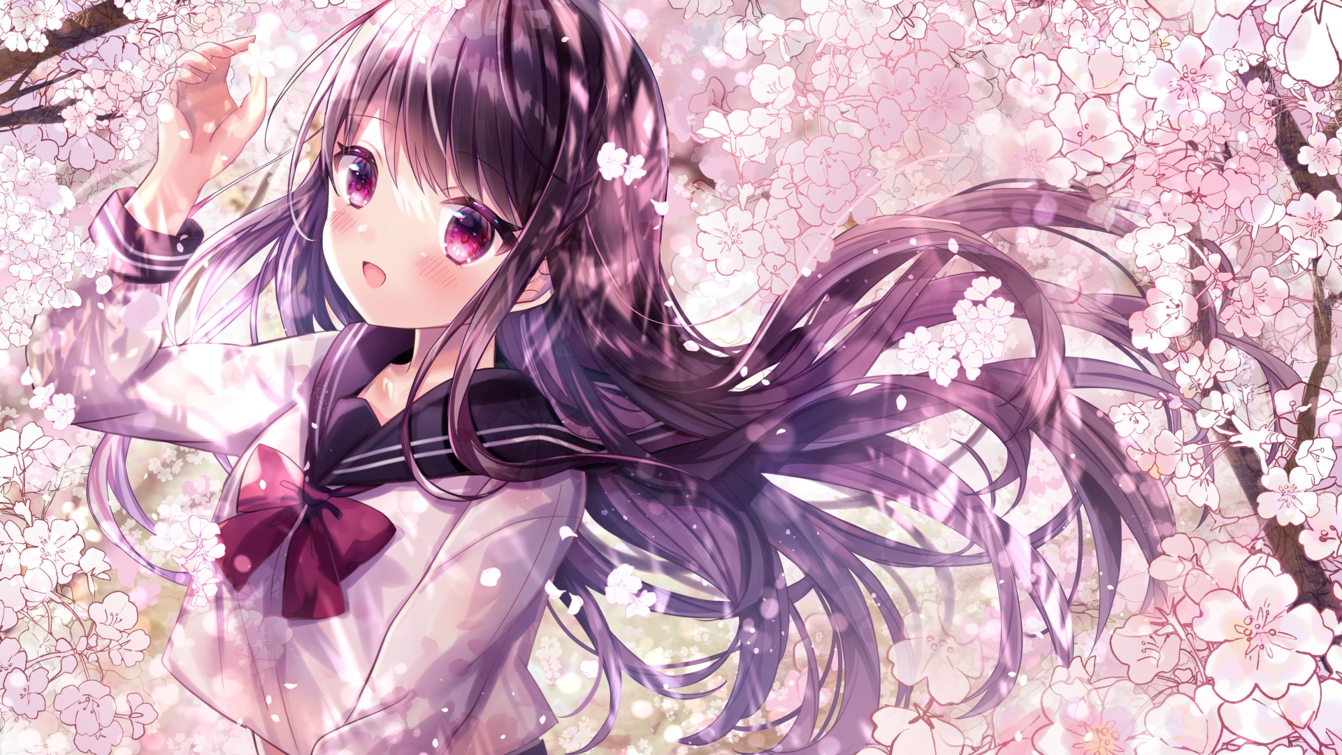 Anime Cherry Blossom Girl Wallpapers