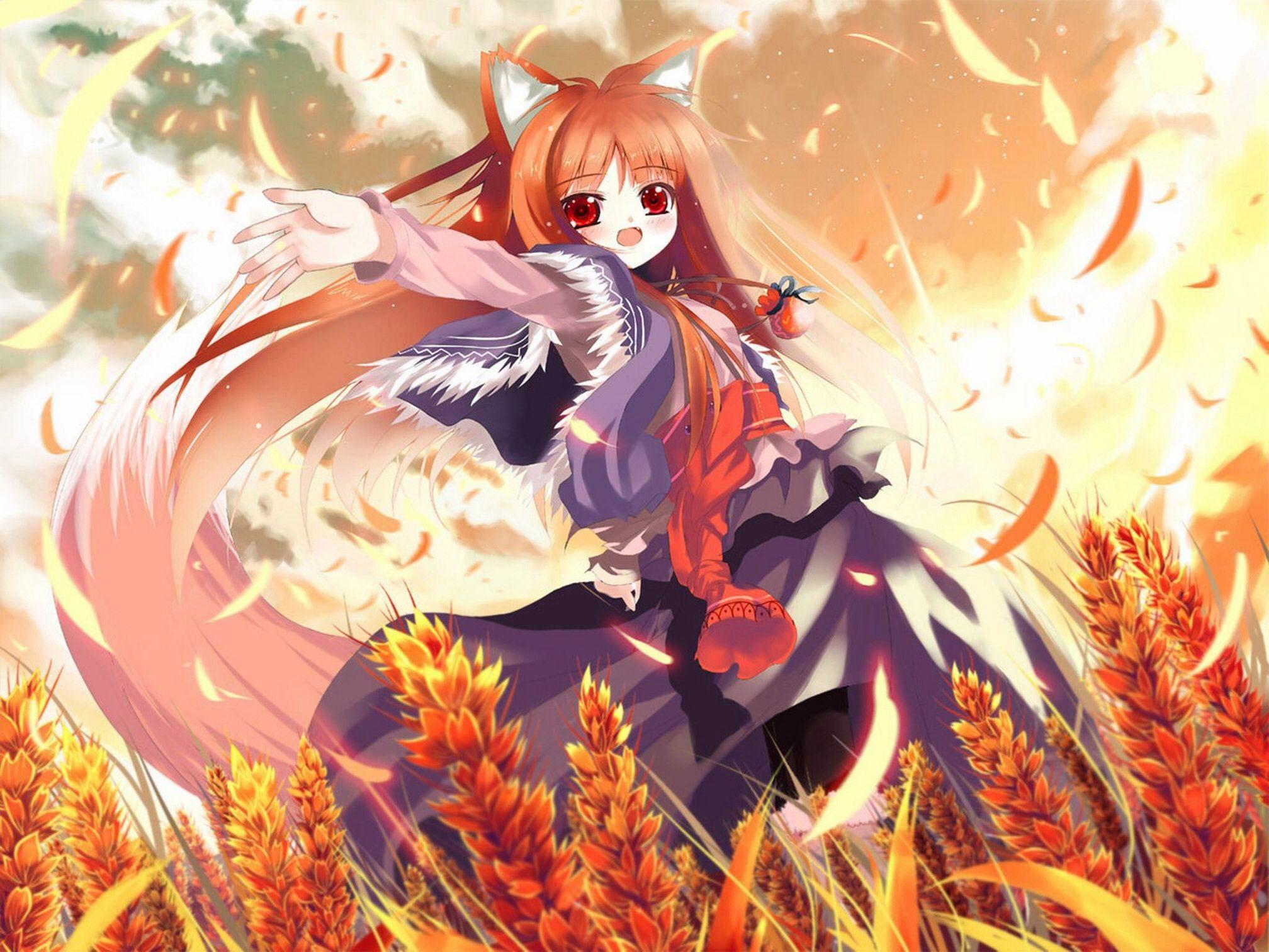 Anime Chibi Wolf Girl Wallpapers