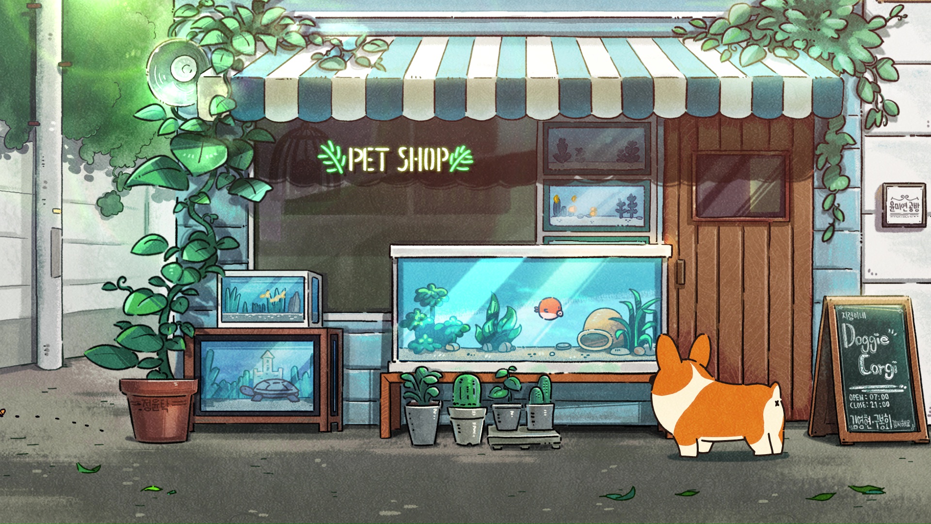 Anime Corgi Wallpapers