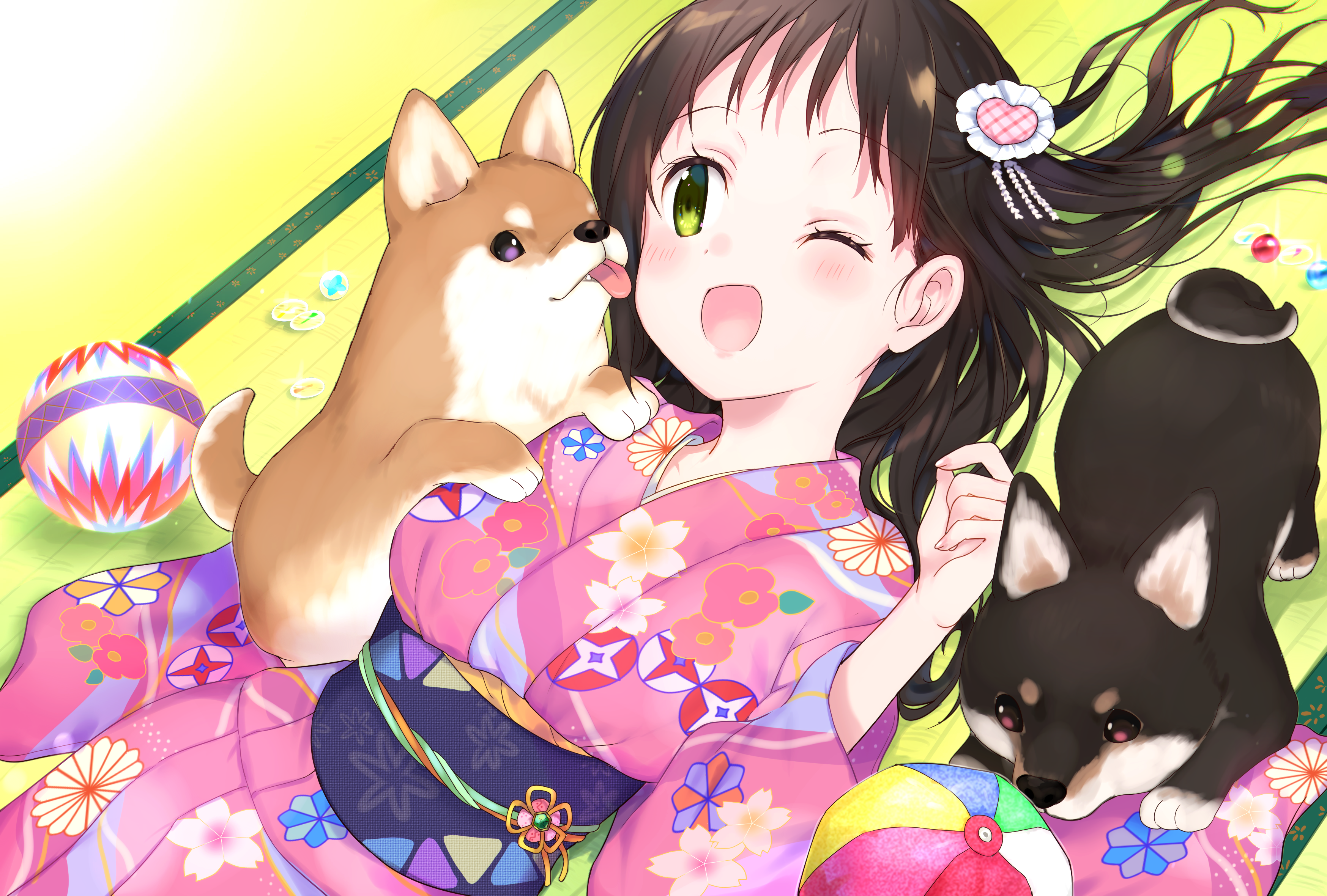 Anime Corgi Wallpapers