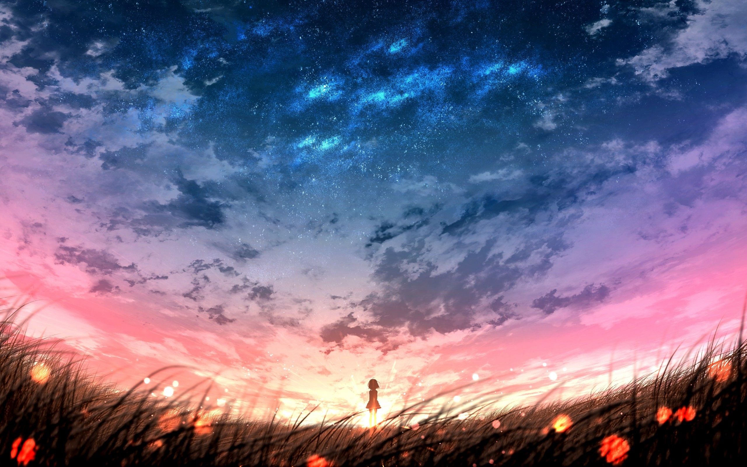 Anime Field Wallpapers