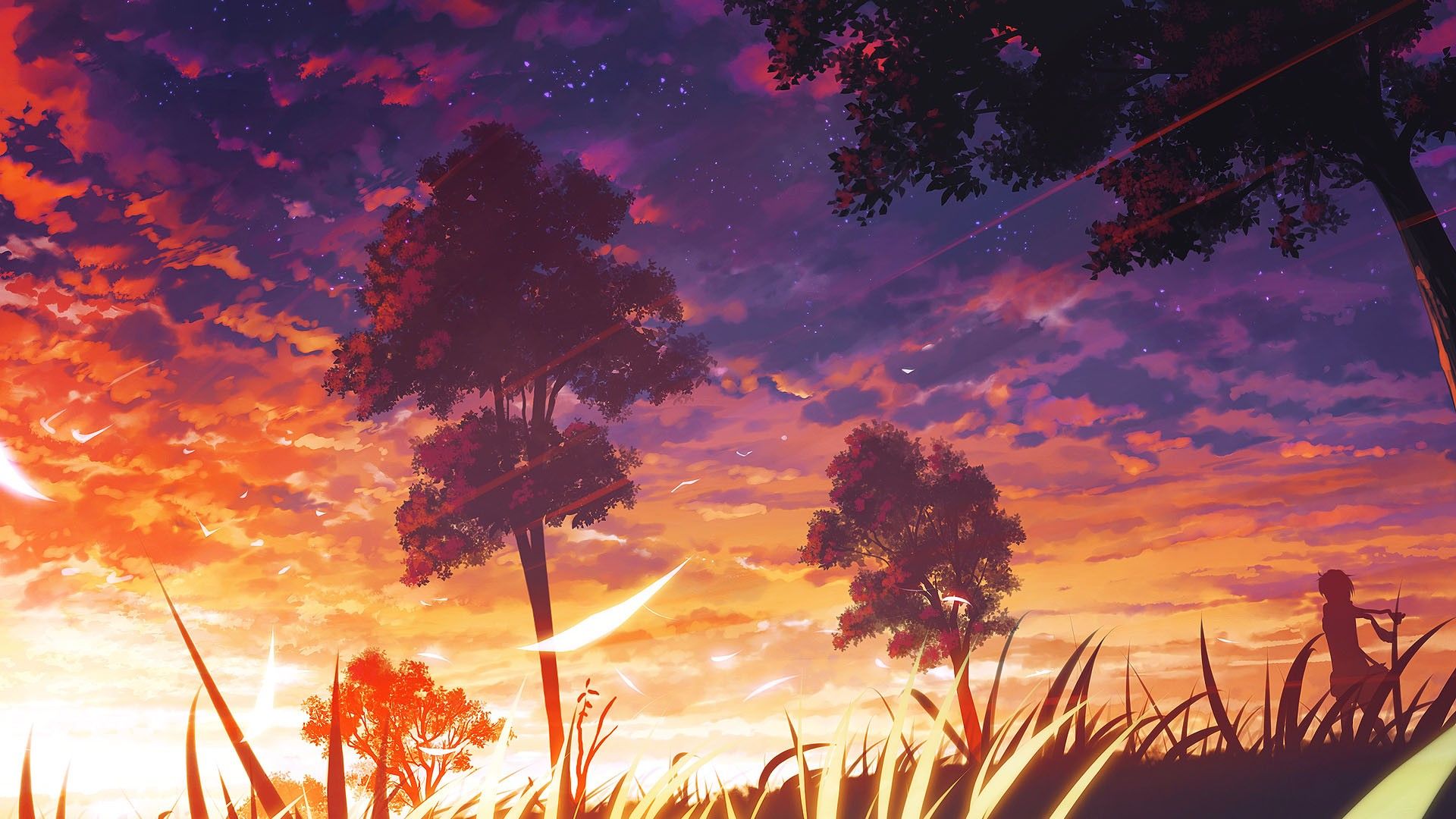 Anime Field Wallpapers