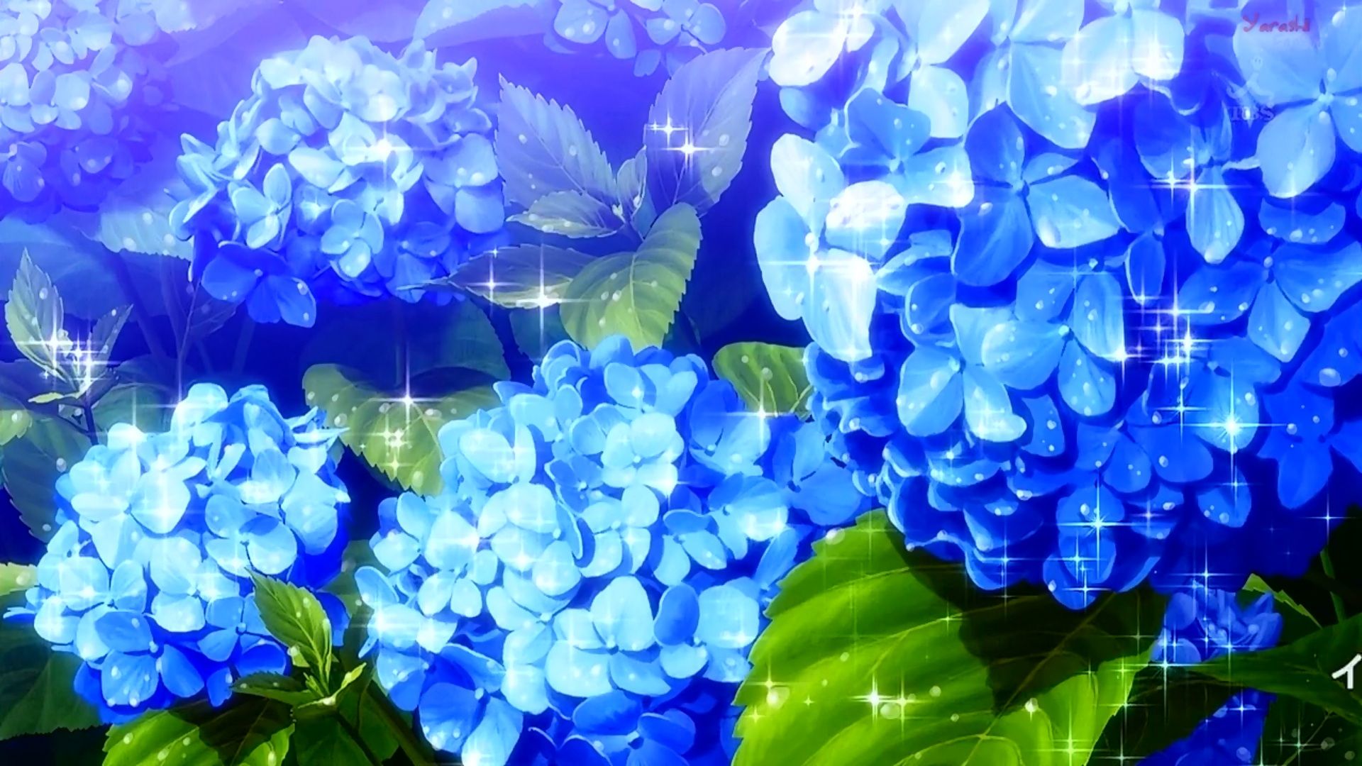 Anime Flower Wallpapers