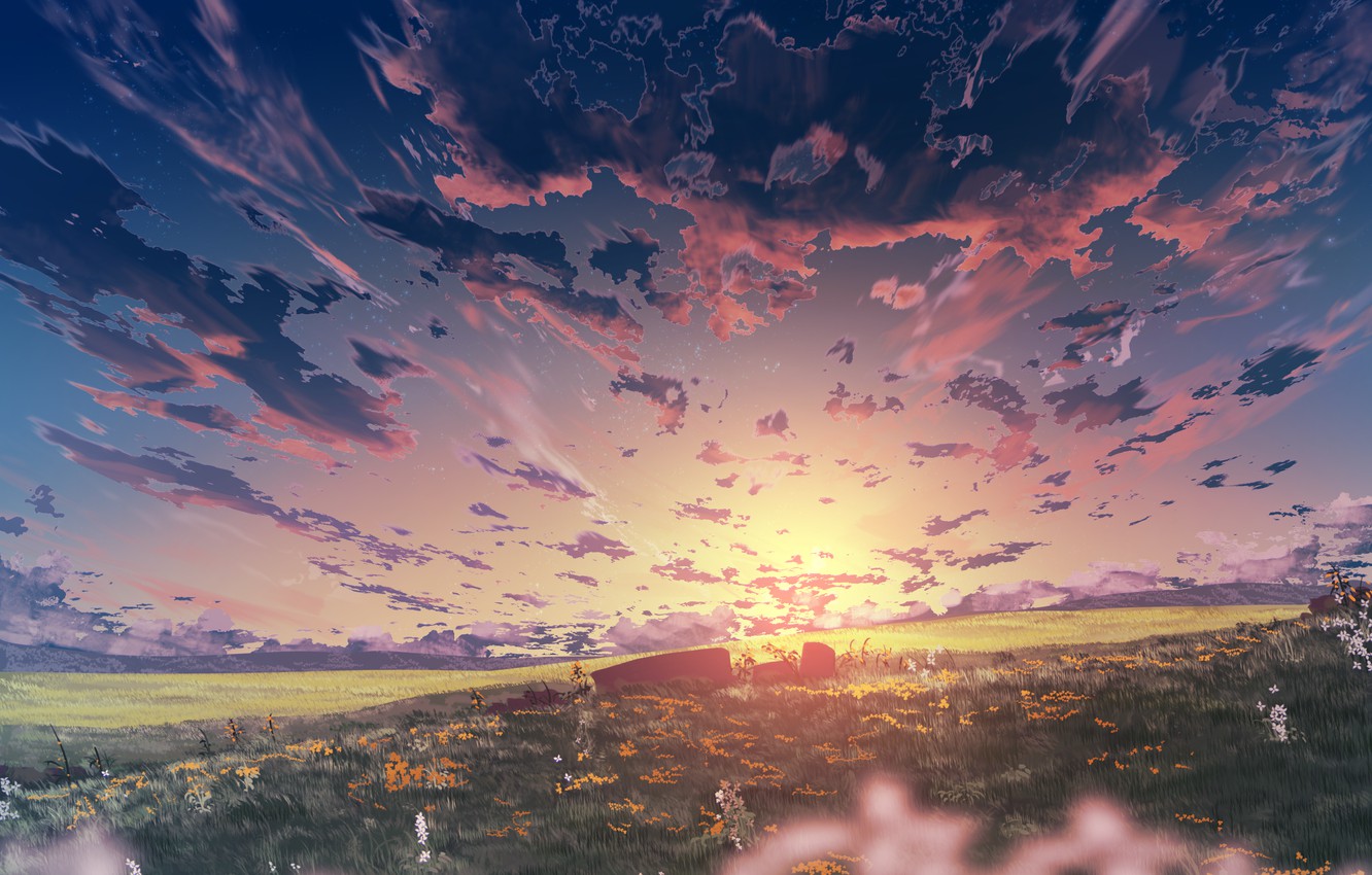 Anime Flower Field Scenery Wallpapers