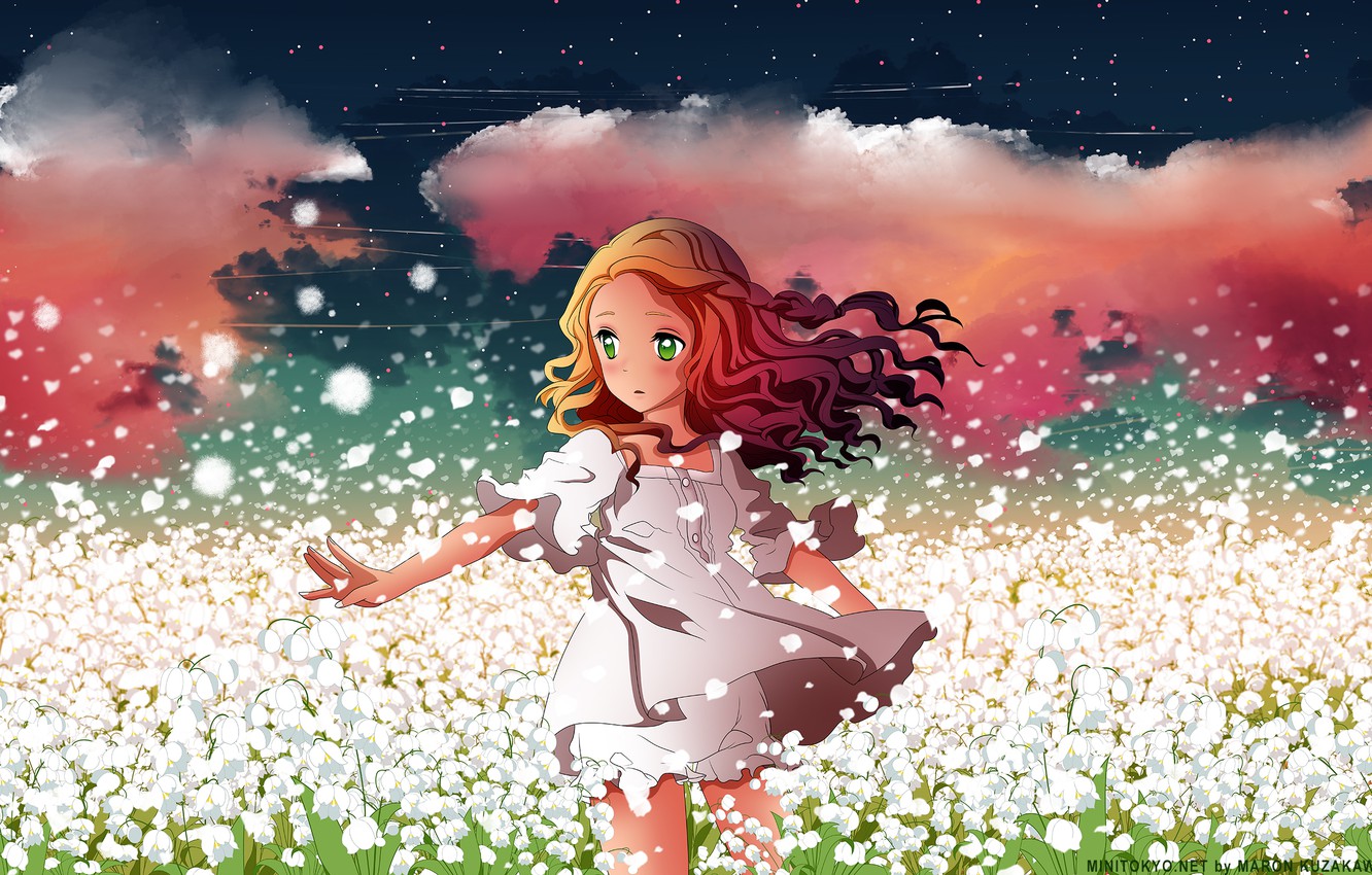 Anime Flower Field Scenery Wallpapers