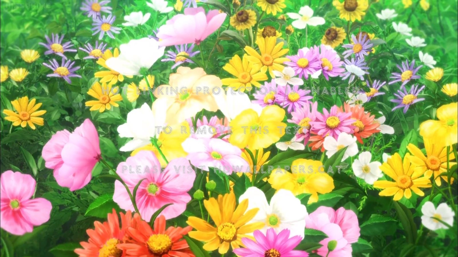 Anime Flower Field Scenery Wallpapers