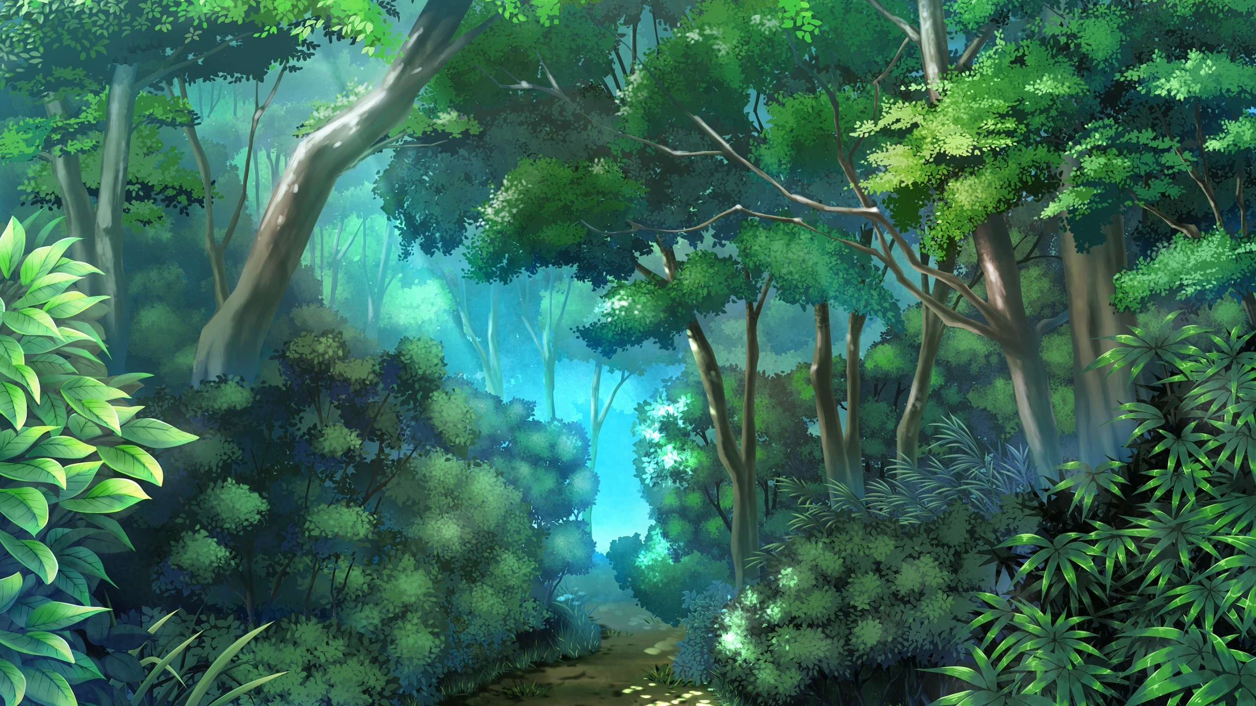 Anime Forest Wallpapers