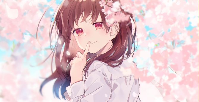 Anime Girl Flowers Wallpapers