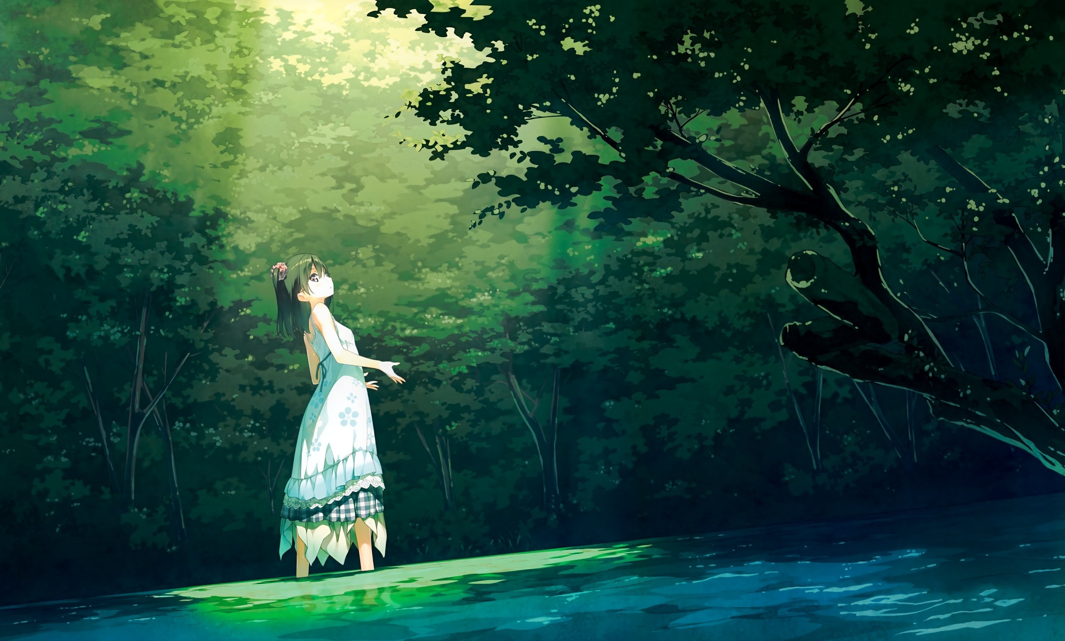 Anime Girl In Forest Wallpapers