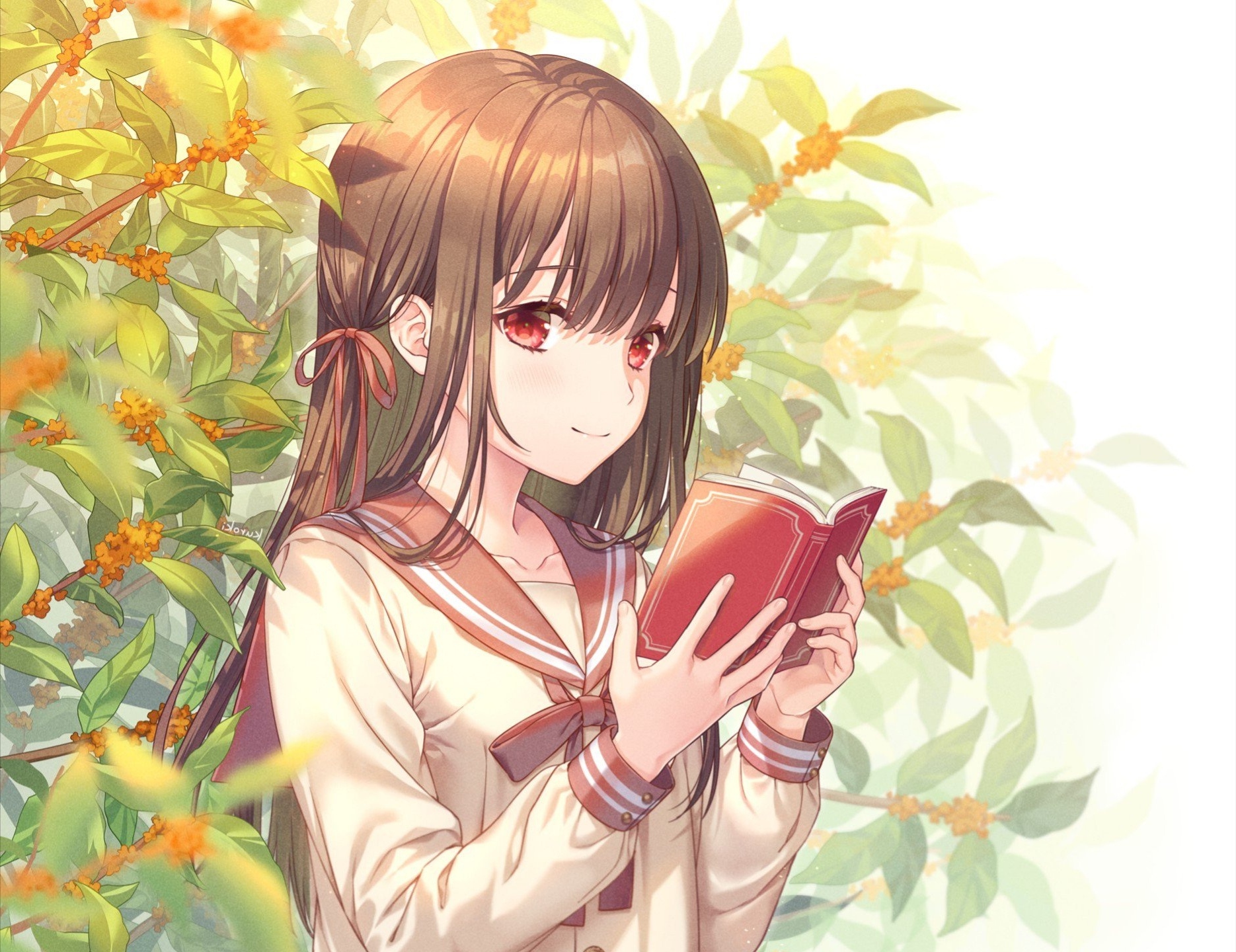 Anime Girl Reading Books Wallpapers