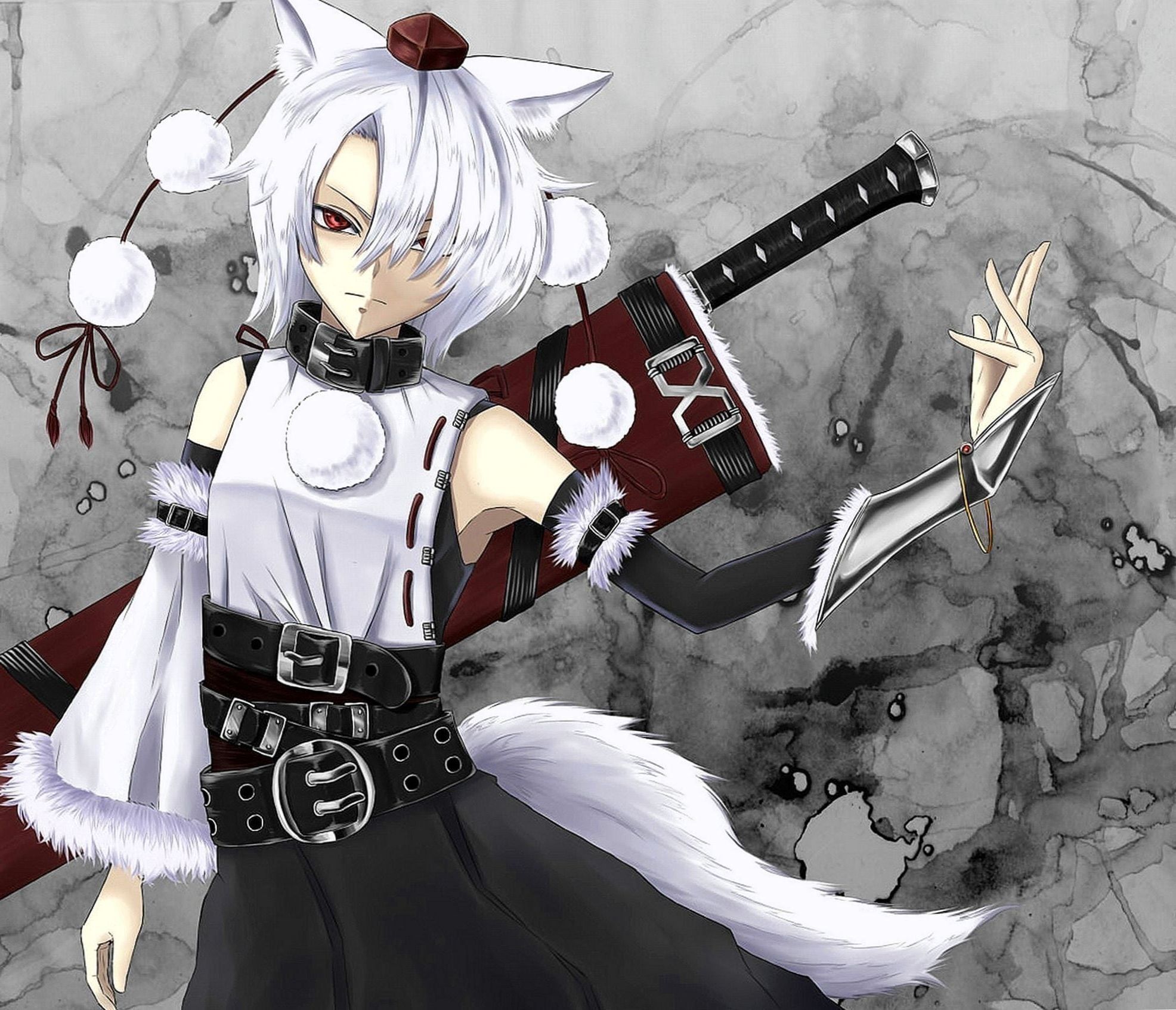 Anime Girl With Wolf Ears Wallpapers