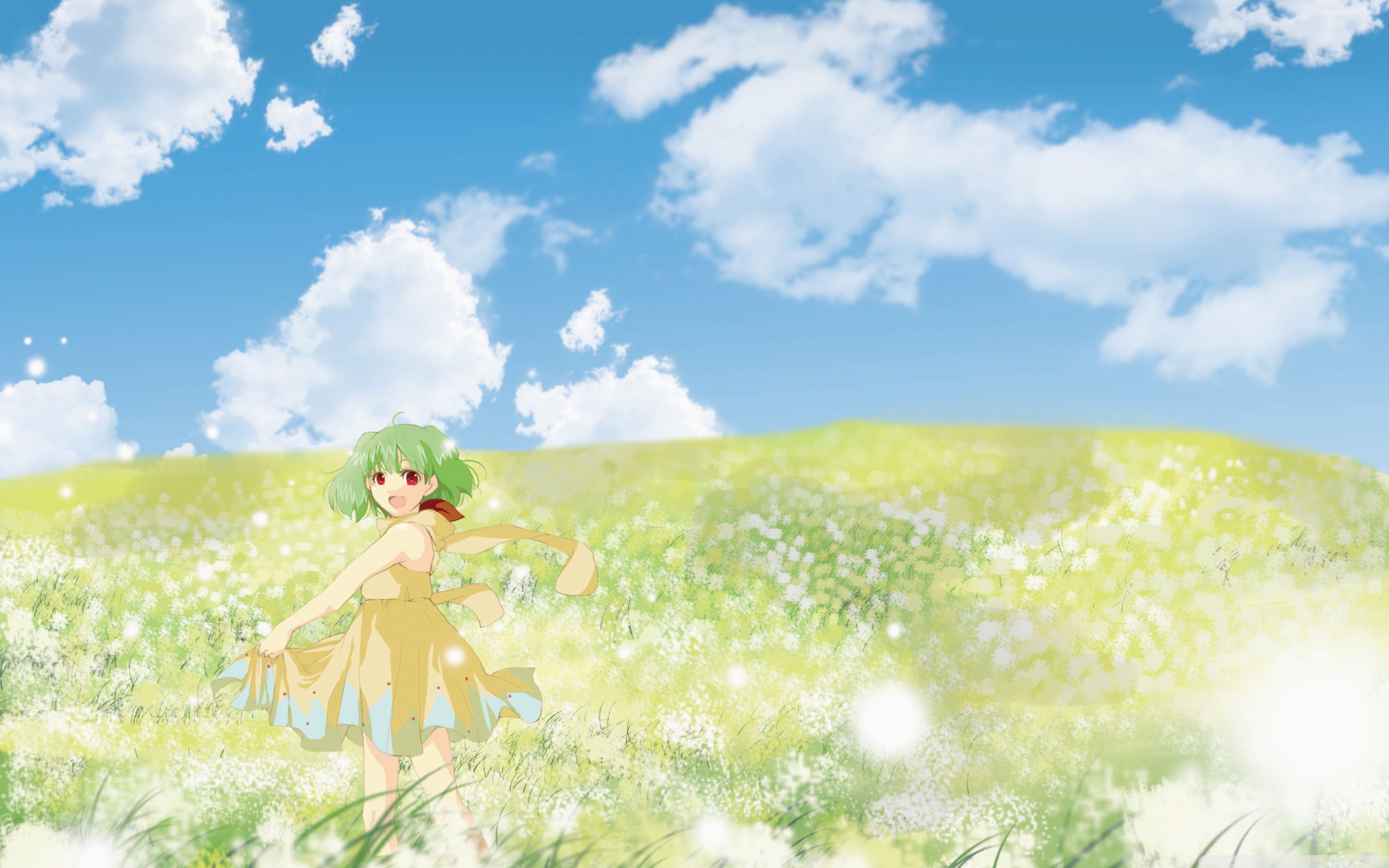 Anime Grass Field Wallpapers