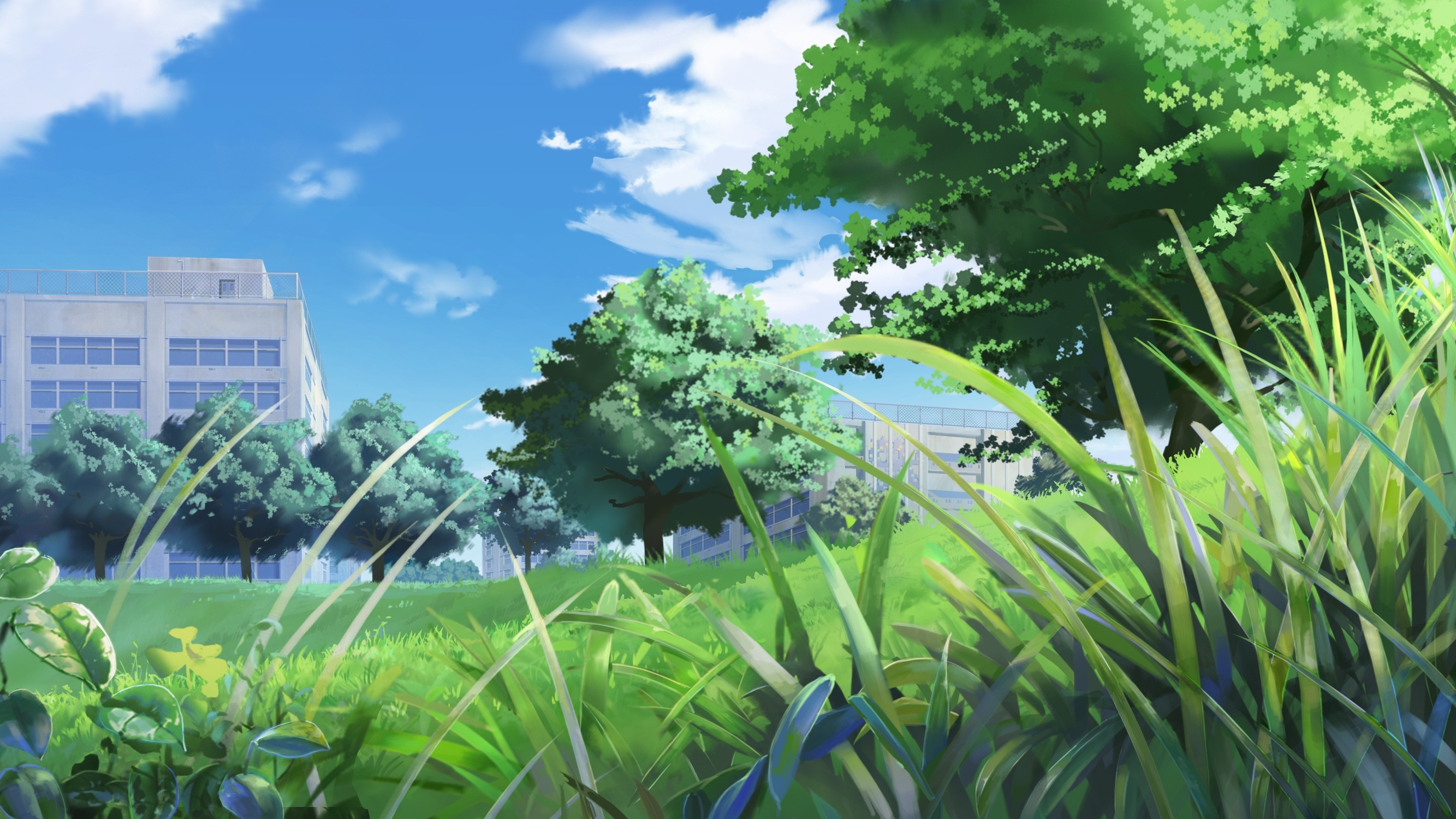 Anime Grass Field Wallpapers