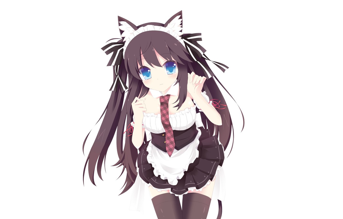 Anime Neko Maid Wallpapers