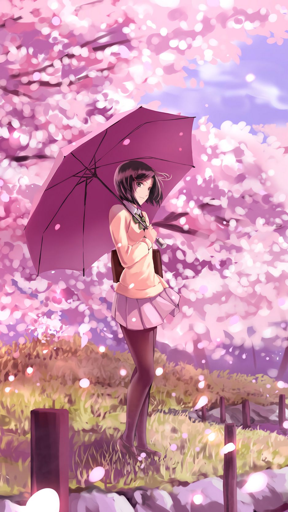 Anime Sakura Wallpapers