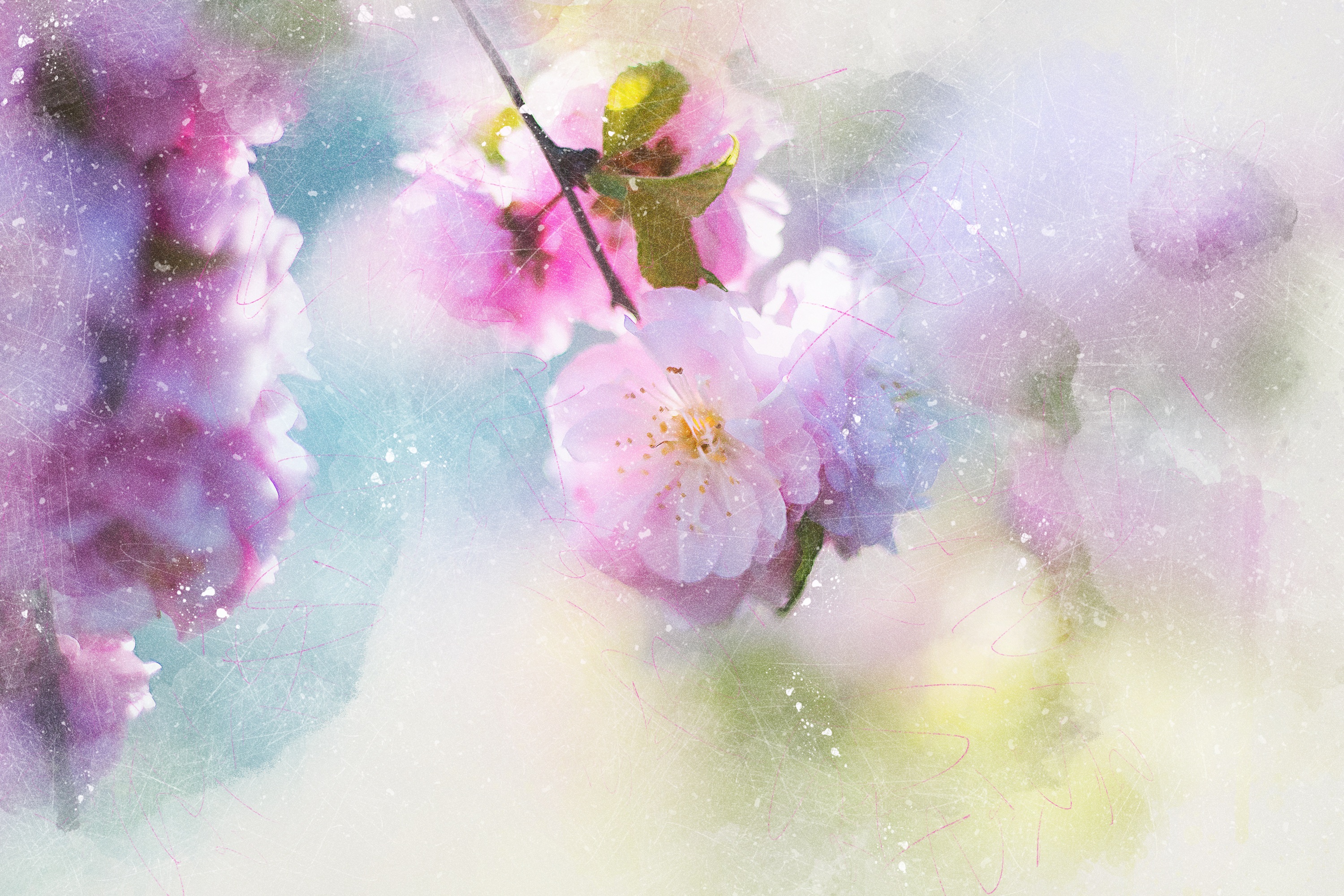 Anime Sakura Blossom Wallpapers