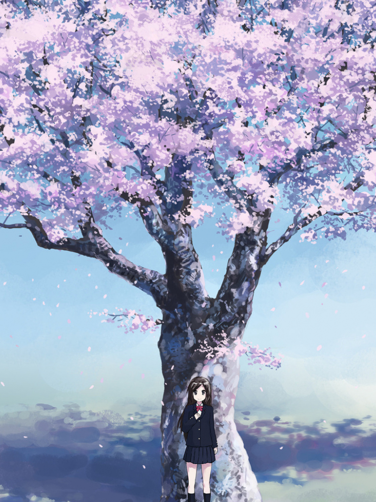 Anime Sakura Flower Wallpapers