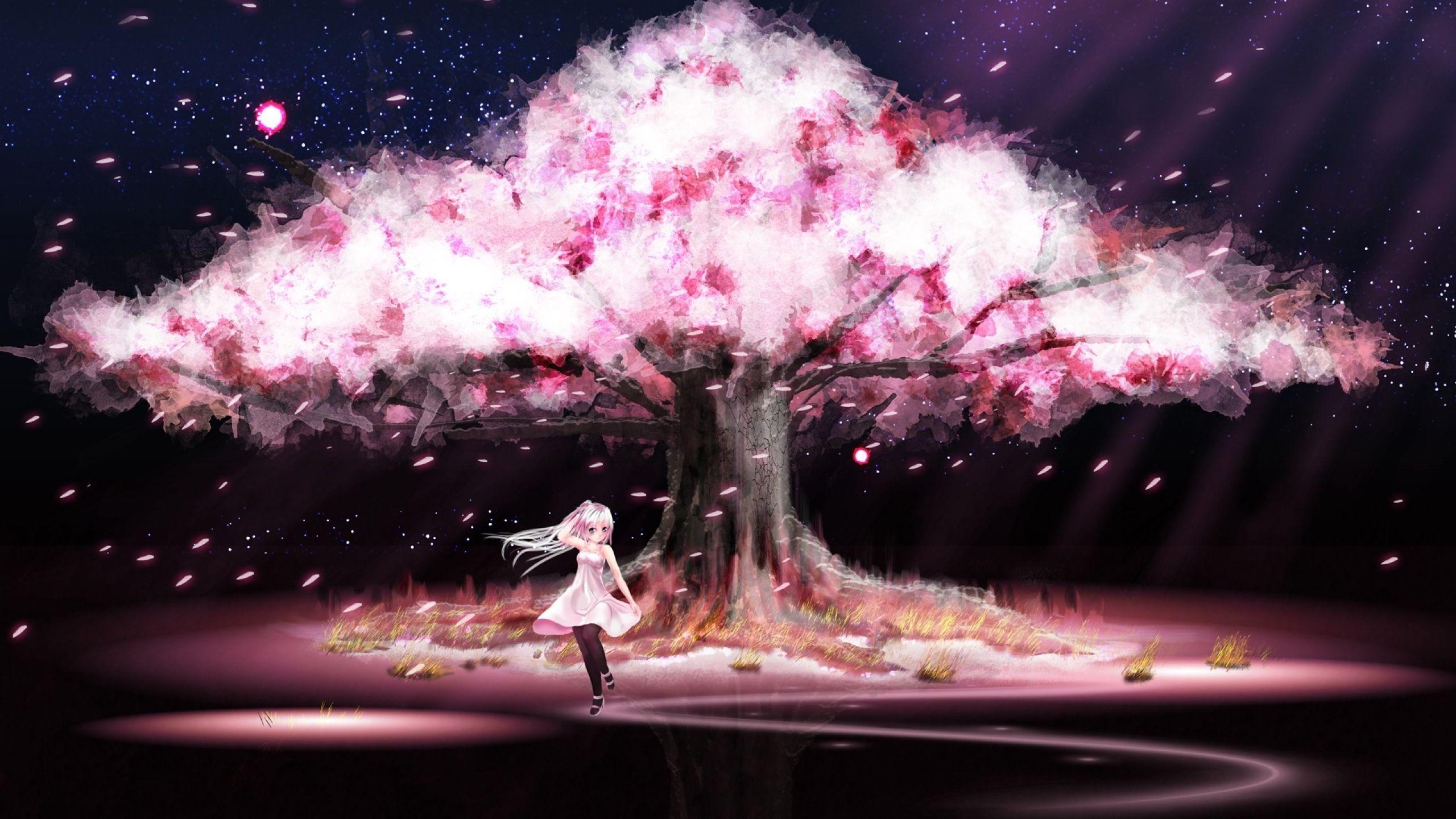 Anime Sakura Tree Wallpapers
